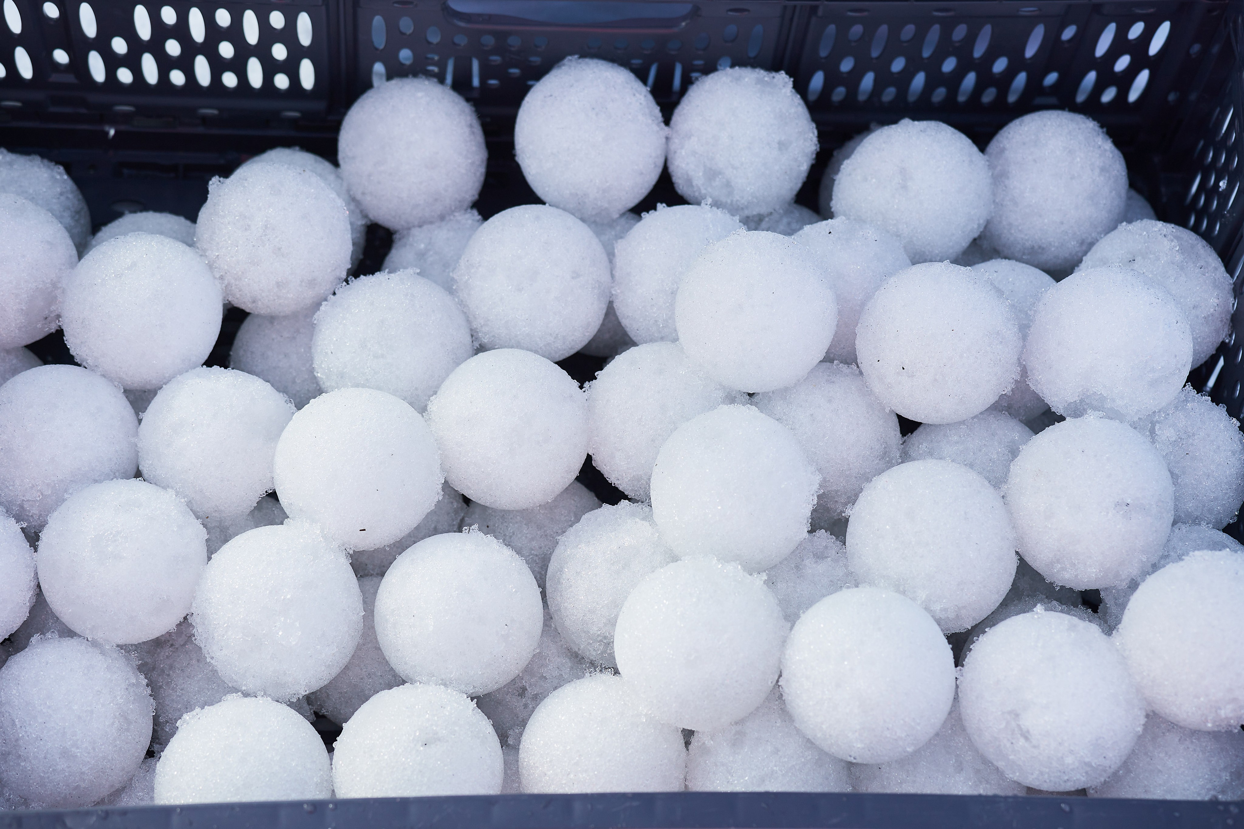 Юкигассен. Фотограф Мурманск Екатерина Мотькина