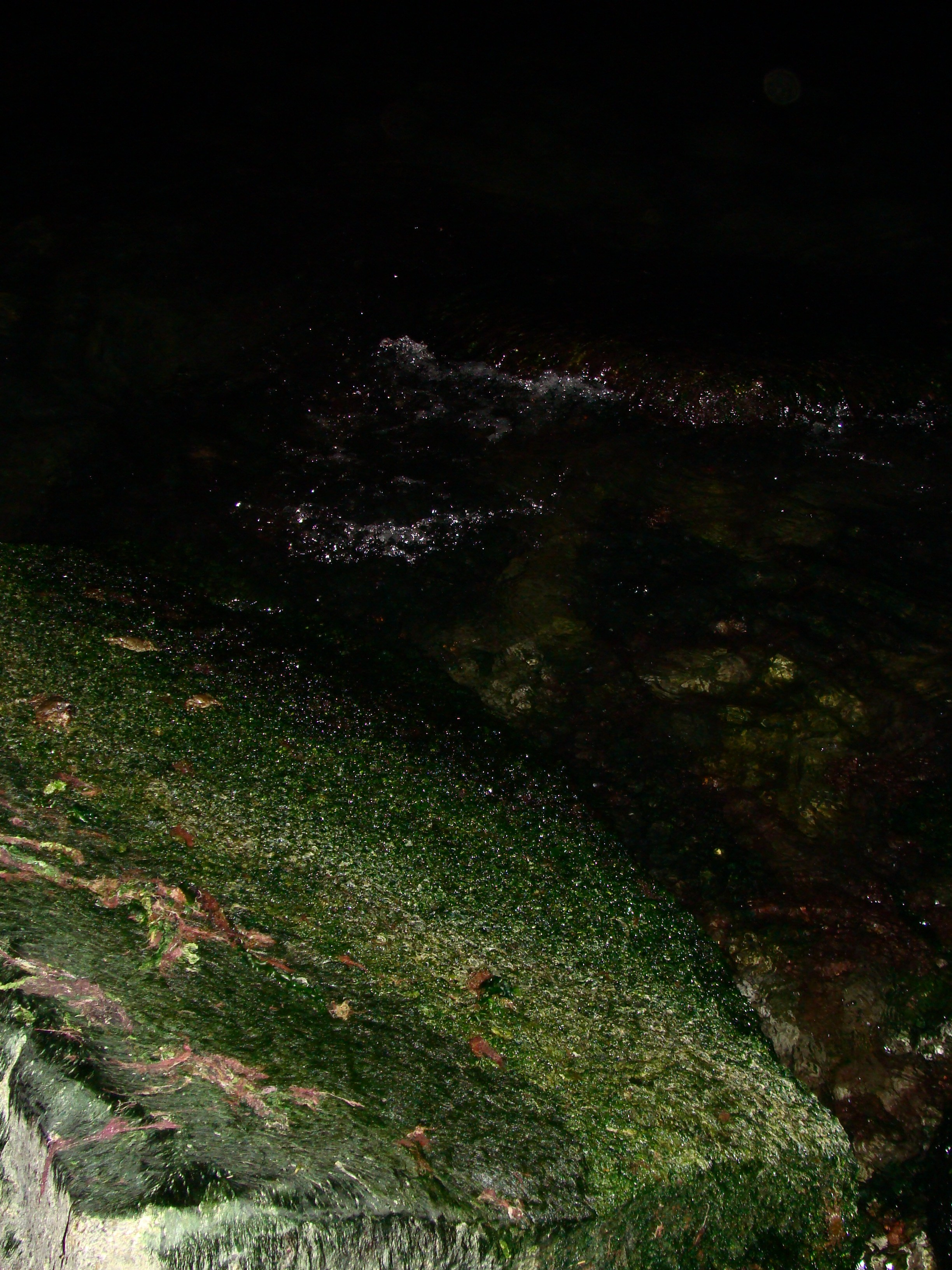 Кабардинка (фото Зевиных) 25.06-24.07.2008. Семейный, Свадебный фотограф СПБ Питер— Романова Екатерина