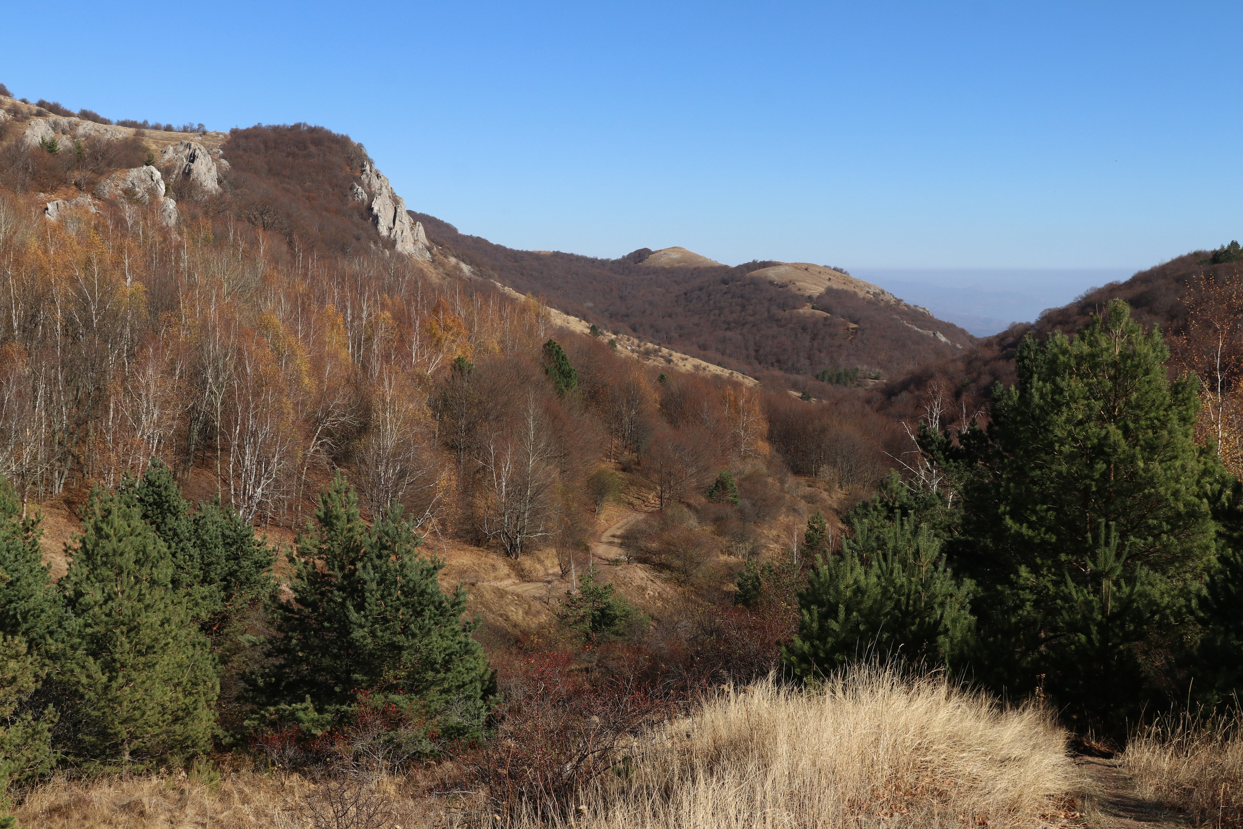 Крым. ЮБК (Гурзуф, Судак и их окрестности). Ноябрь 2023. Путешественник-фотограф из Санкт-Петербурга Татьяна Свистулина