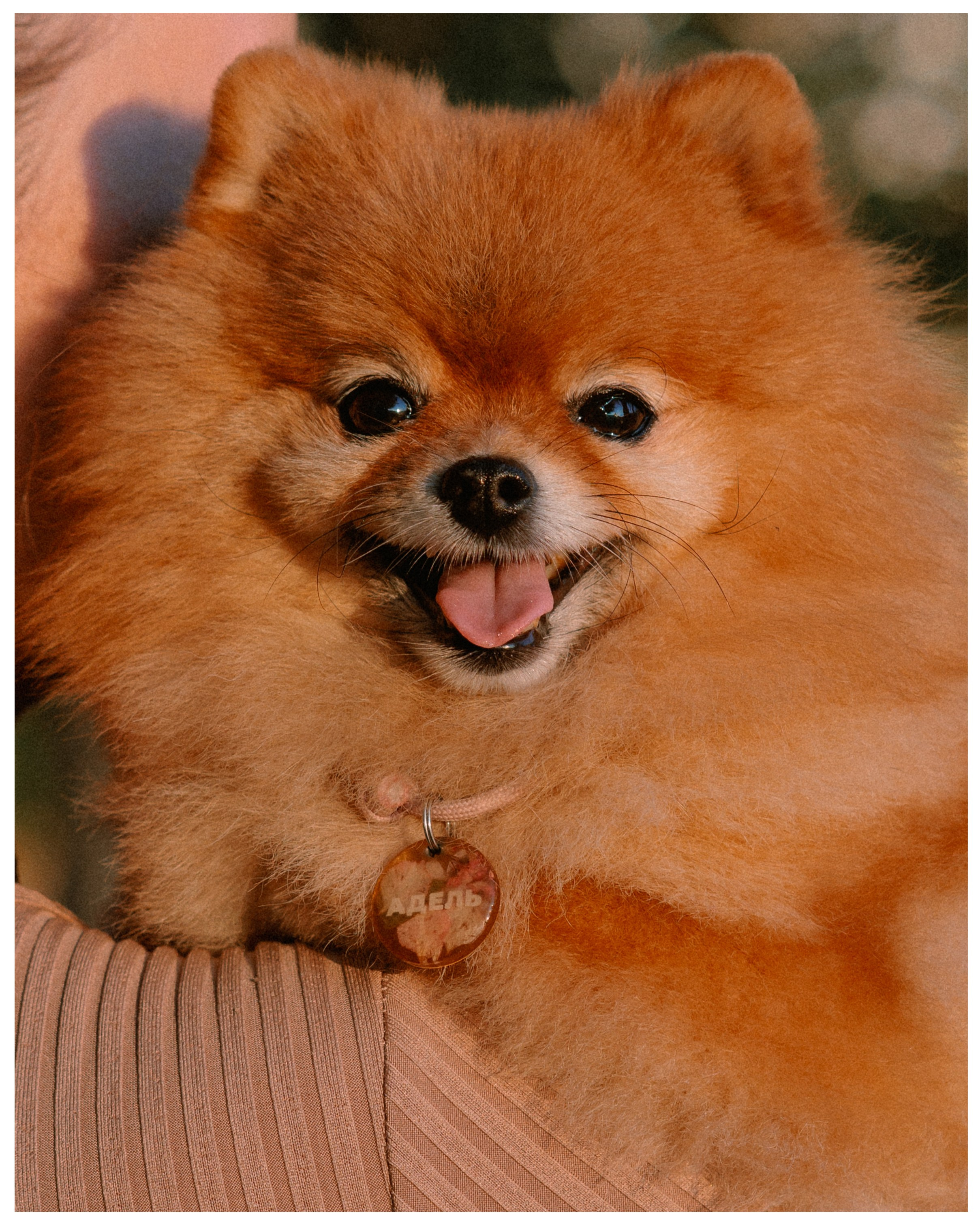 Карина и Адель. Фотограф в Санкт-Петербурге Алёна Губинская