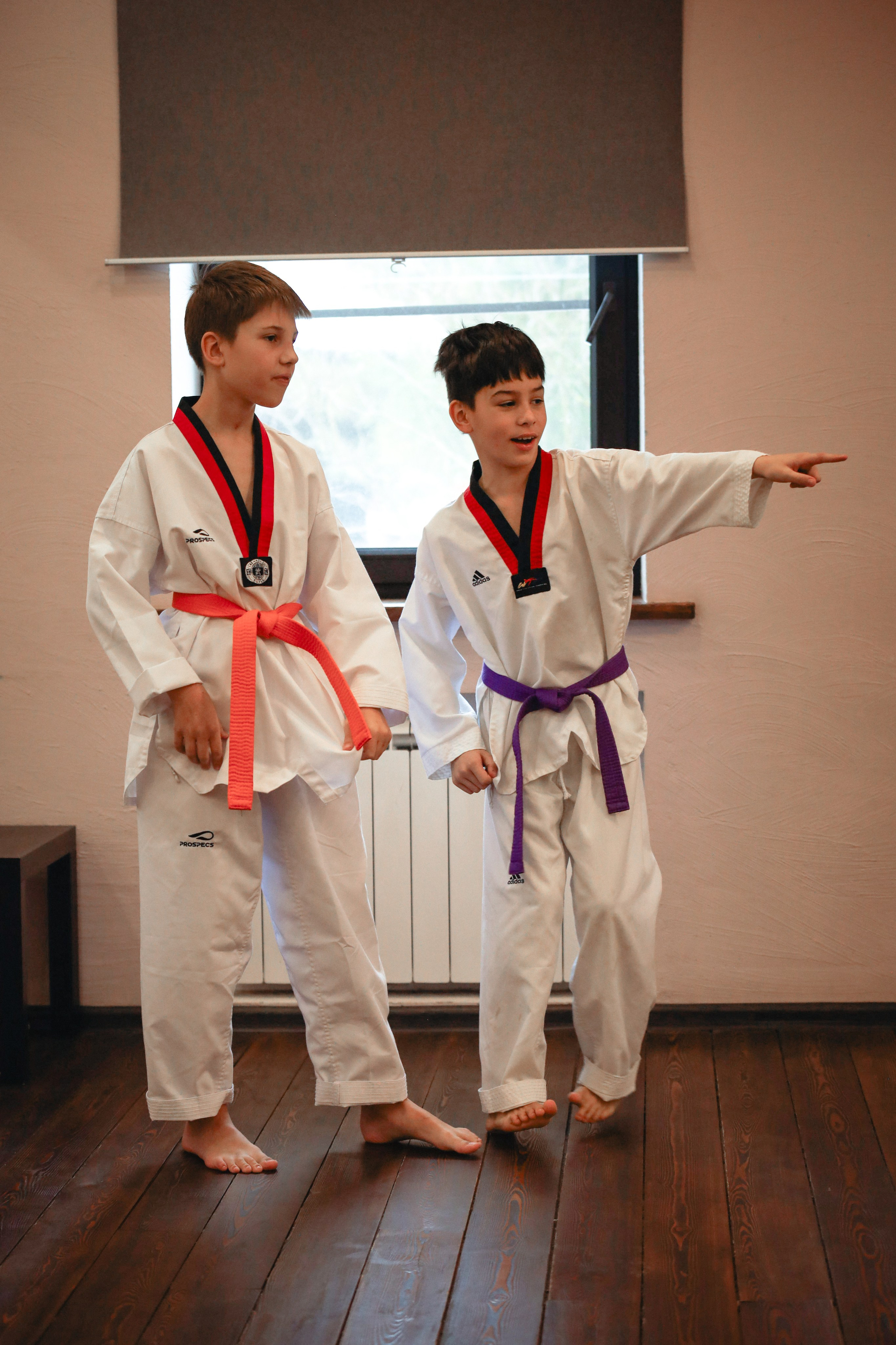 Тхэквондо Аттестация. Фотограф в Москве Бастракова Юлия