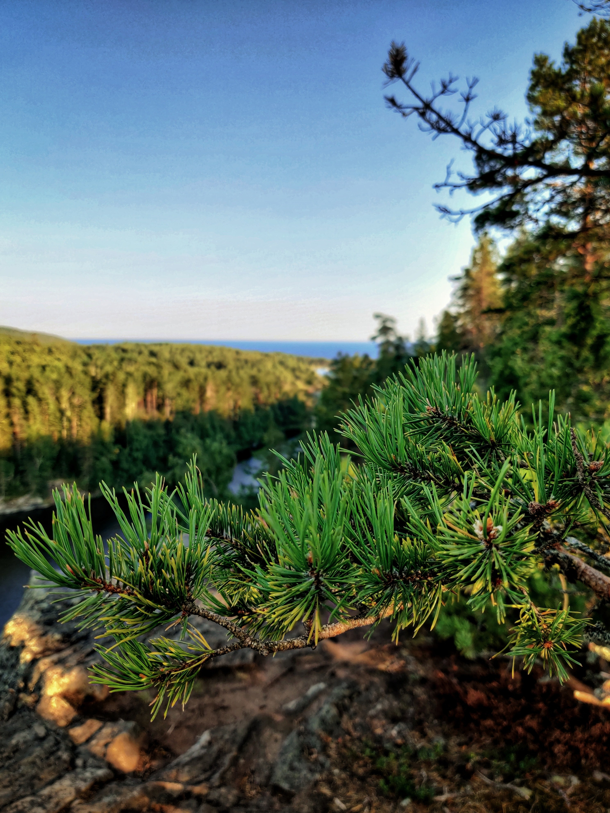 Путешествие по Карелии: Ладожские шхеры, закаты и дикая природа | Летние фото в августе