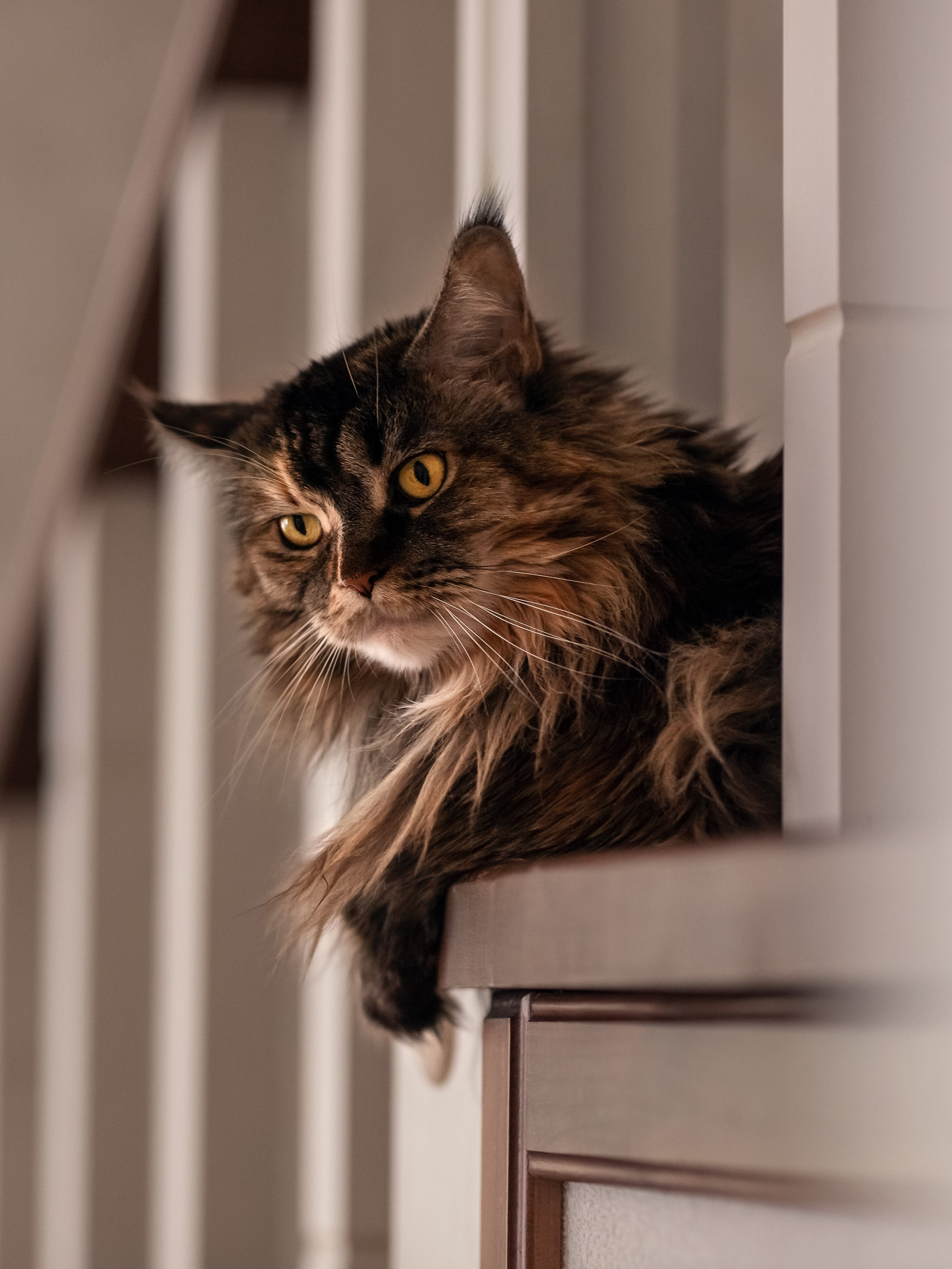 Домашняя съемка. Фотограф в Москве. Женские фотосессии, love-story, контент