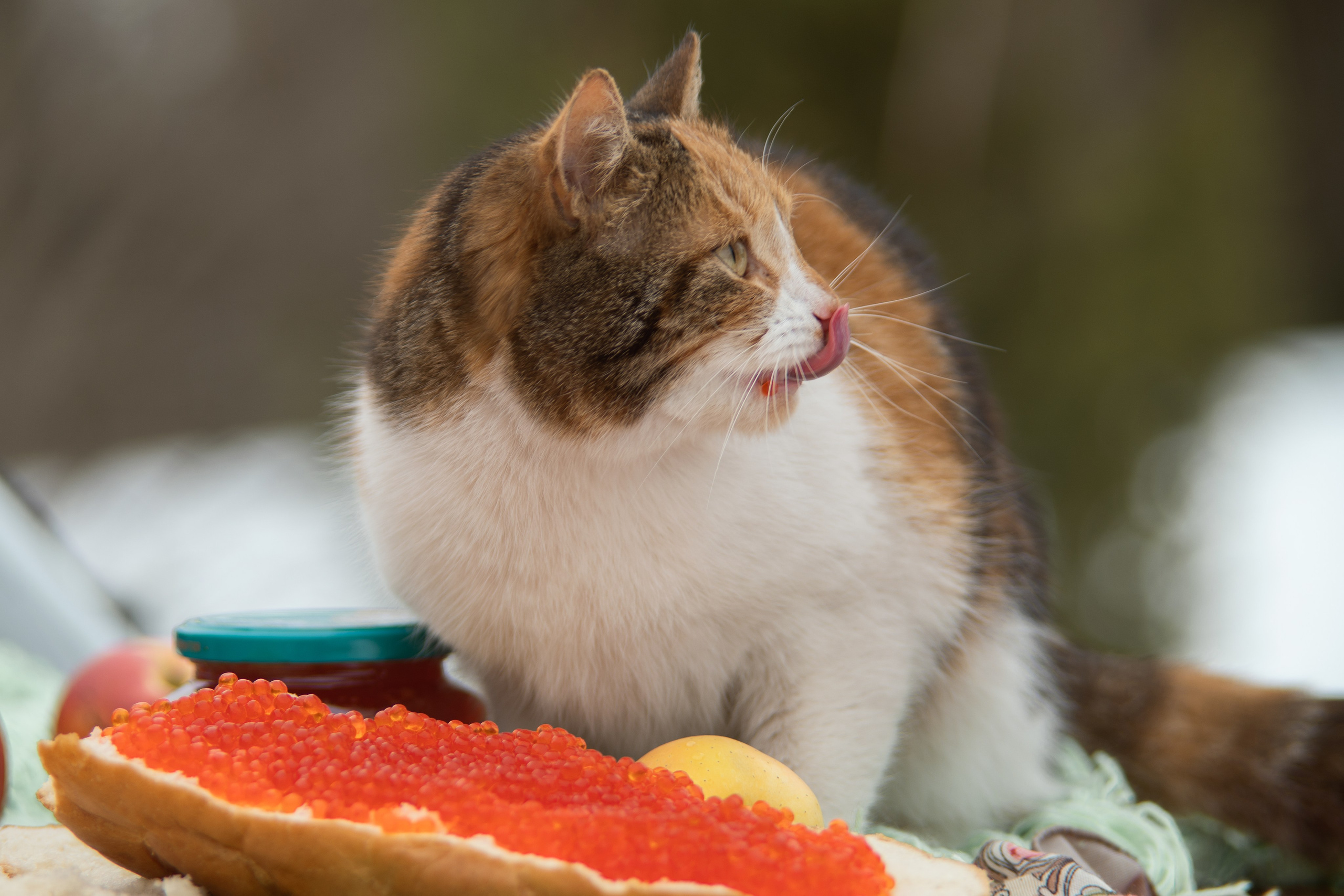Анастасия и ее красный жигуль. Творческий фотограф Вологда