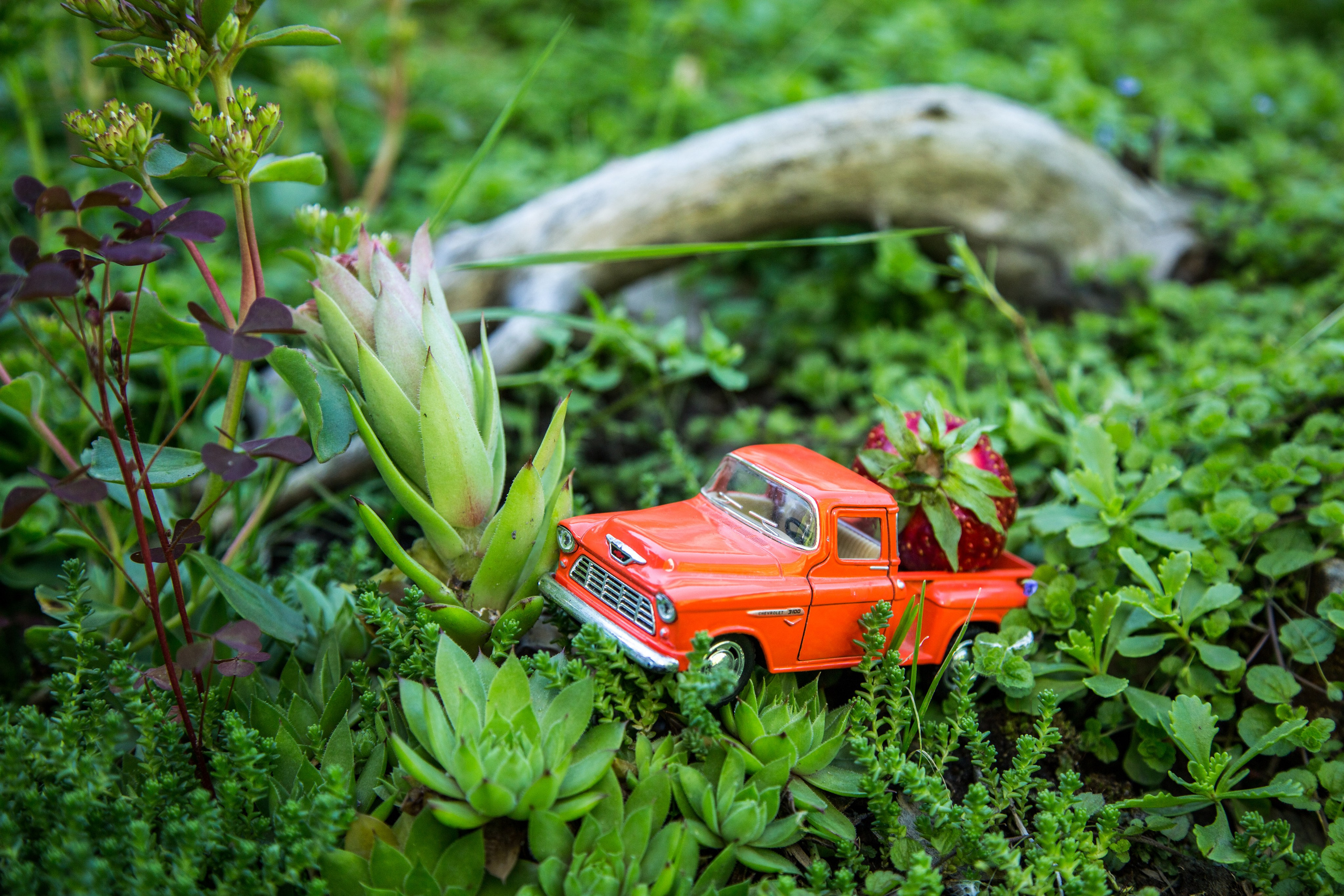 Машины. Фотограф Олеся Кавлакан