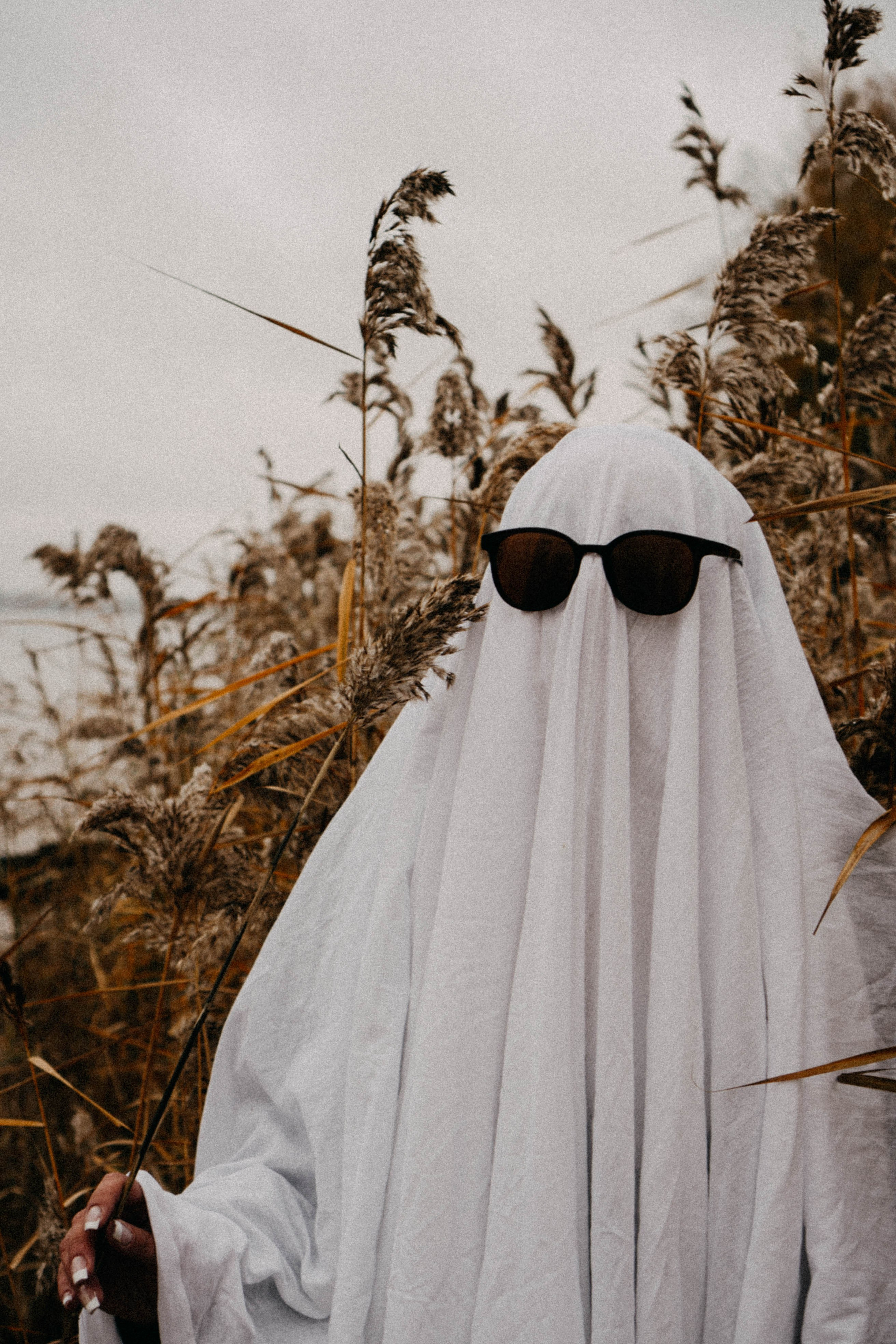 Осеняя. Профессиональный фотограф, Санкт-Петербург — Виктория Богомолова