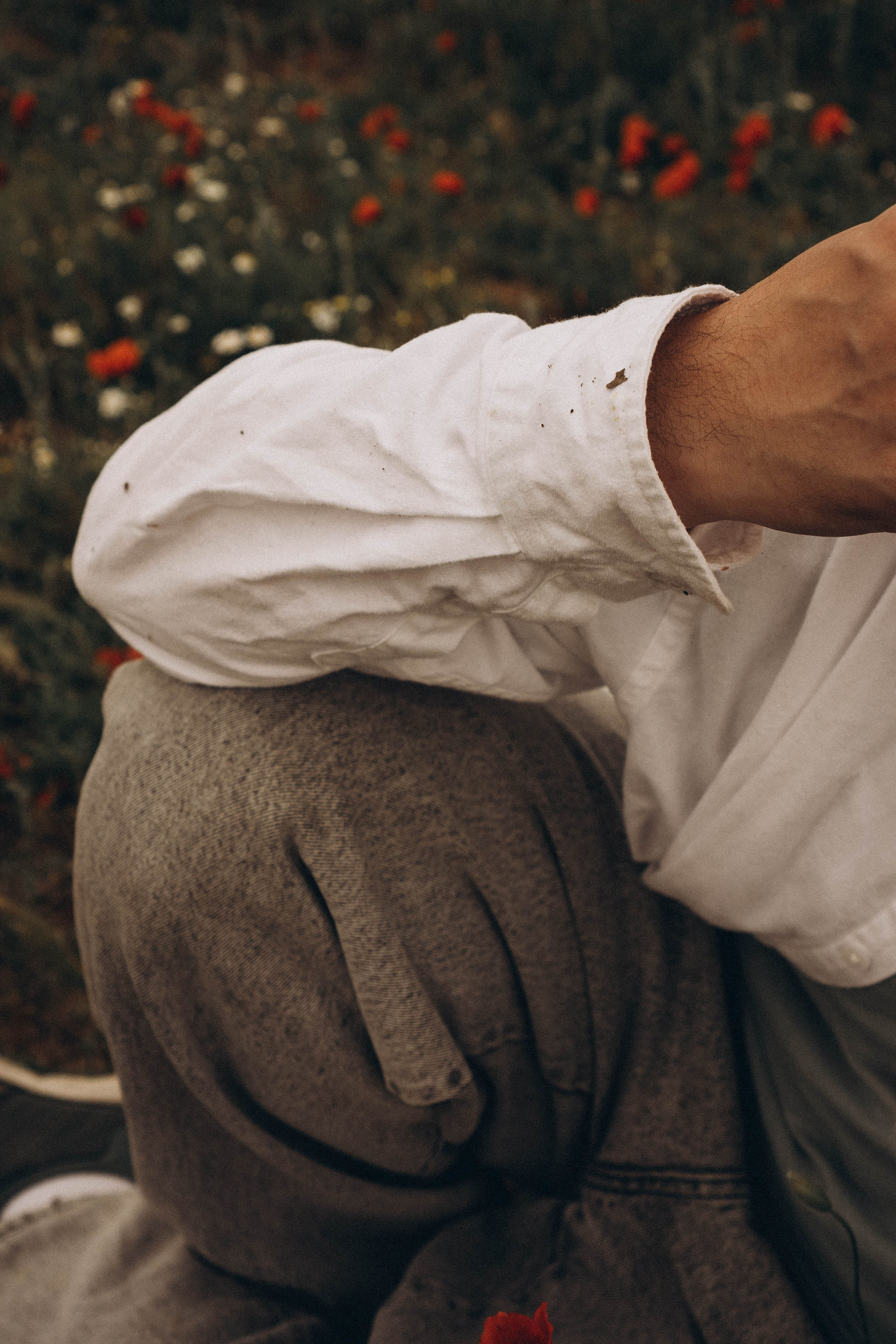 Маки. Профессиональный фотограф, Санкт-Петербург — Виктория Богомолова