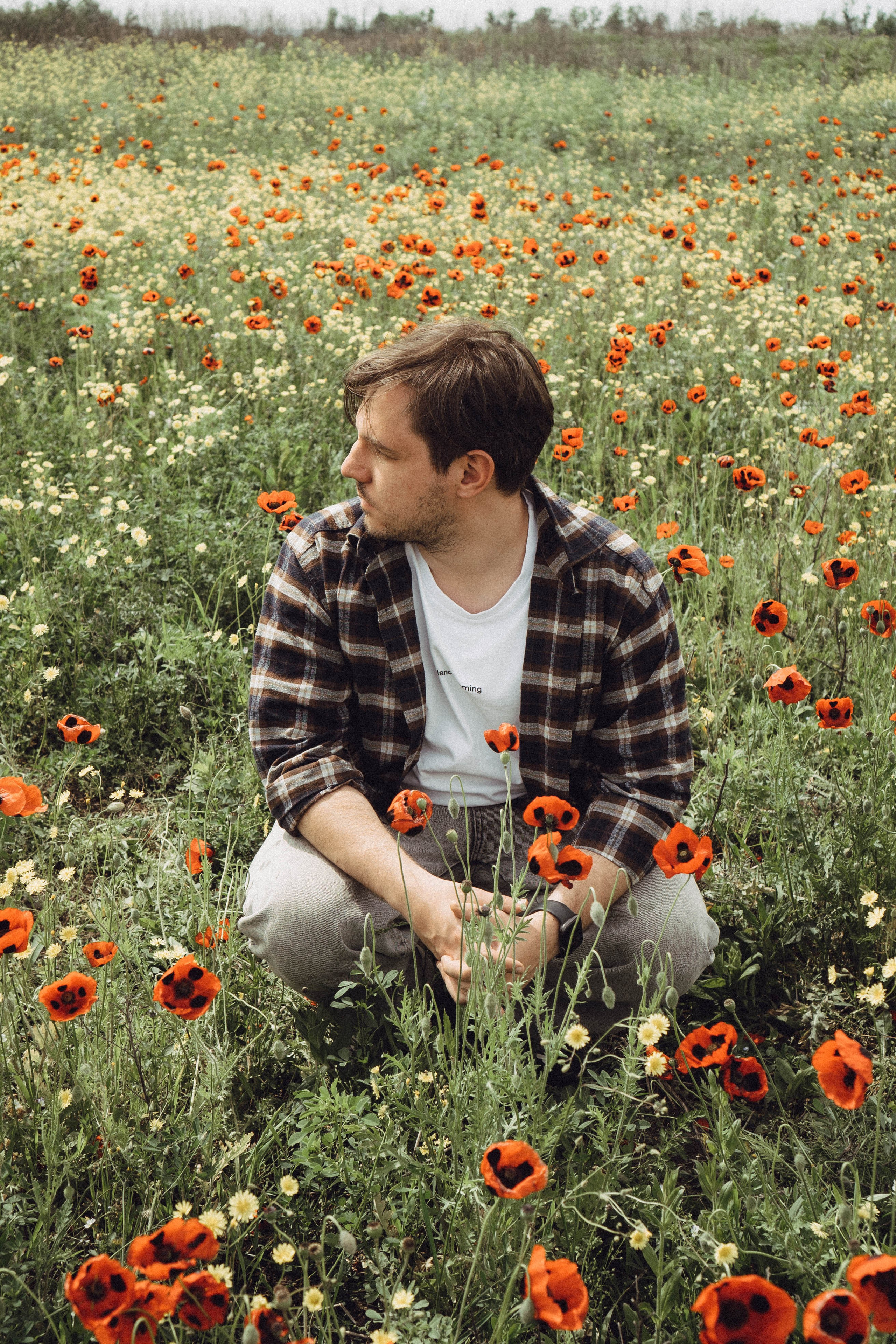 Маки. Профессиональный фотограф, Санкт-Петербург — Виктория Богомолова
