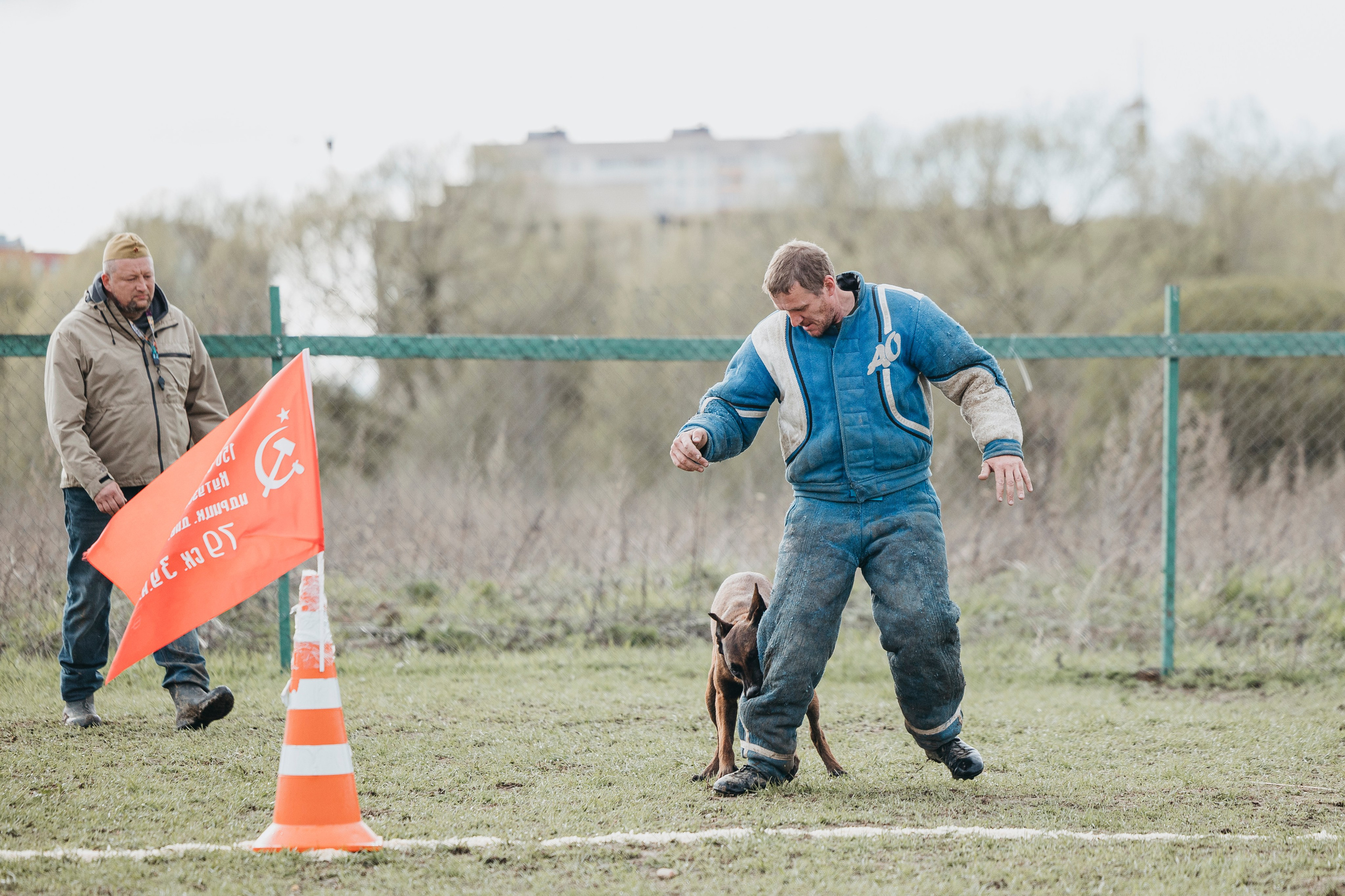 09.05.25 Вологда соревнования. Фотограф-анималист Анна Маринич