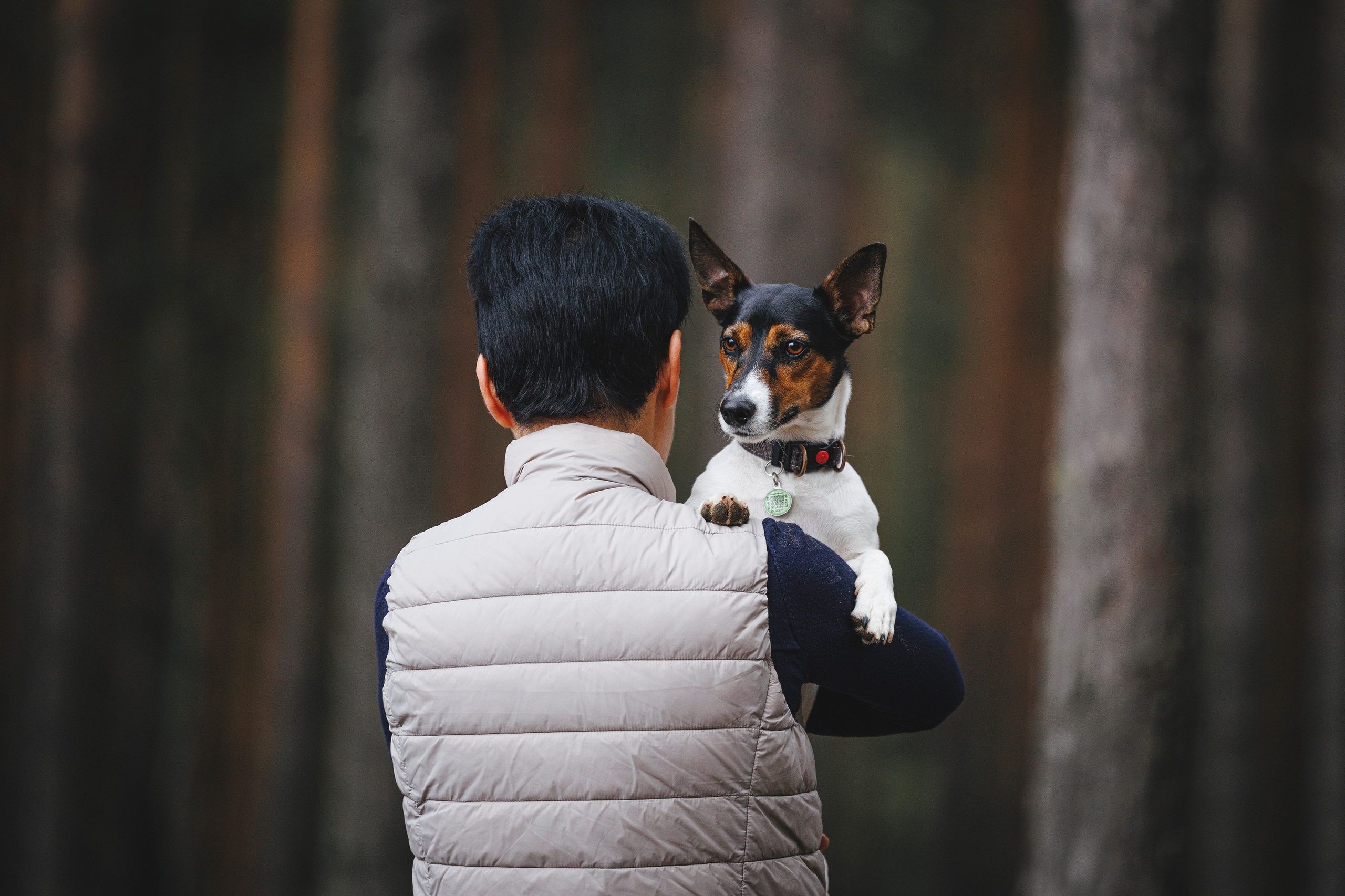 Ания и Ярик. Фотограф-анималист Анна Маринич
