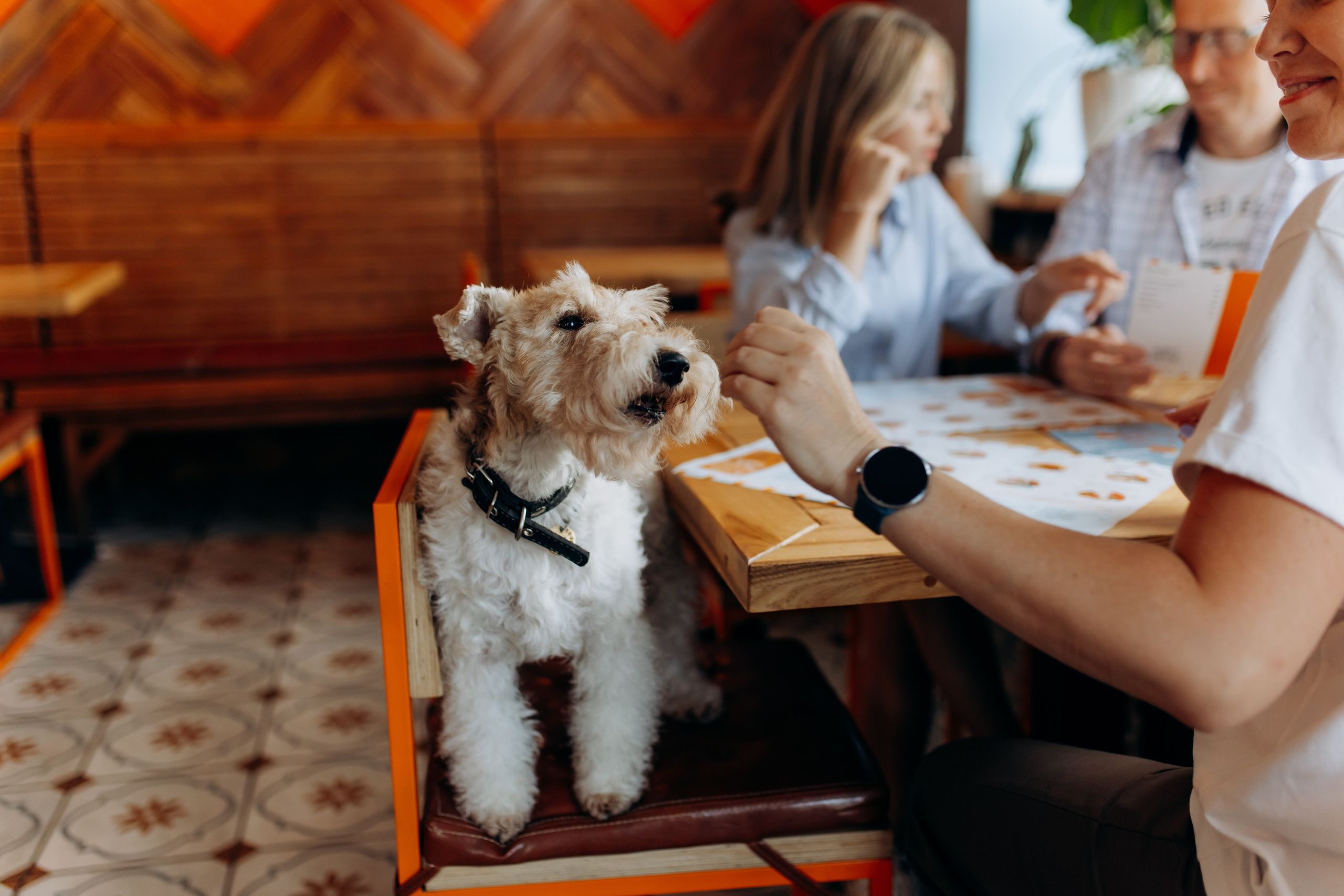 По бургеру в «Карл Маркс». Свадебный и семейный фотограф в Туле и области Маша Костина