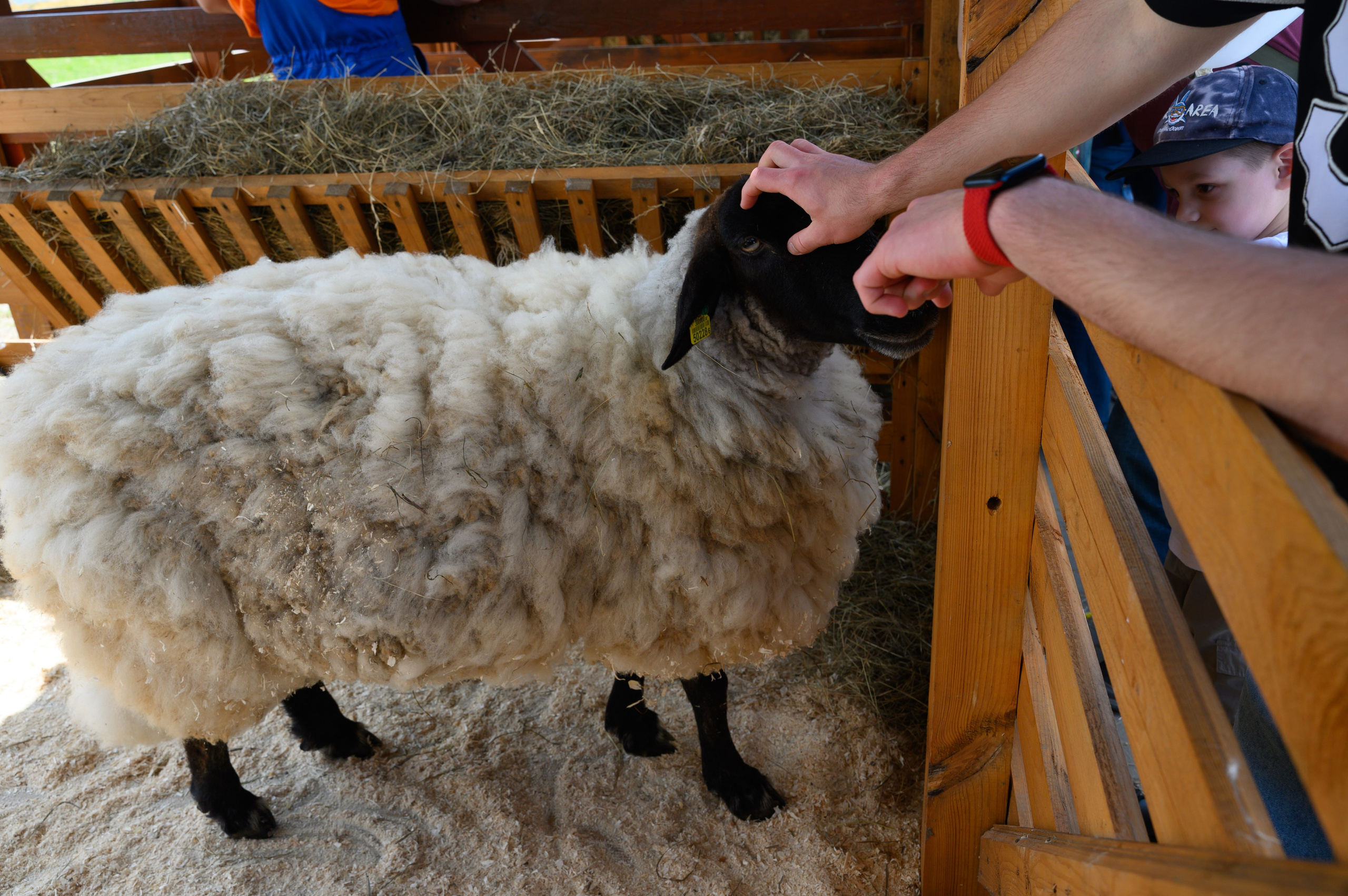 Агровыставка. Фотоуслуги, услуги фотографа, фотографирование важных событий