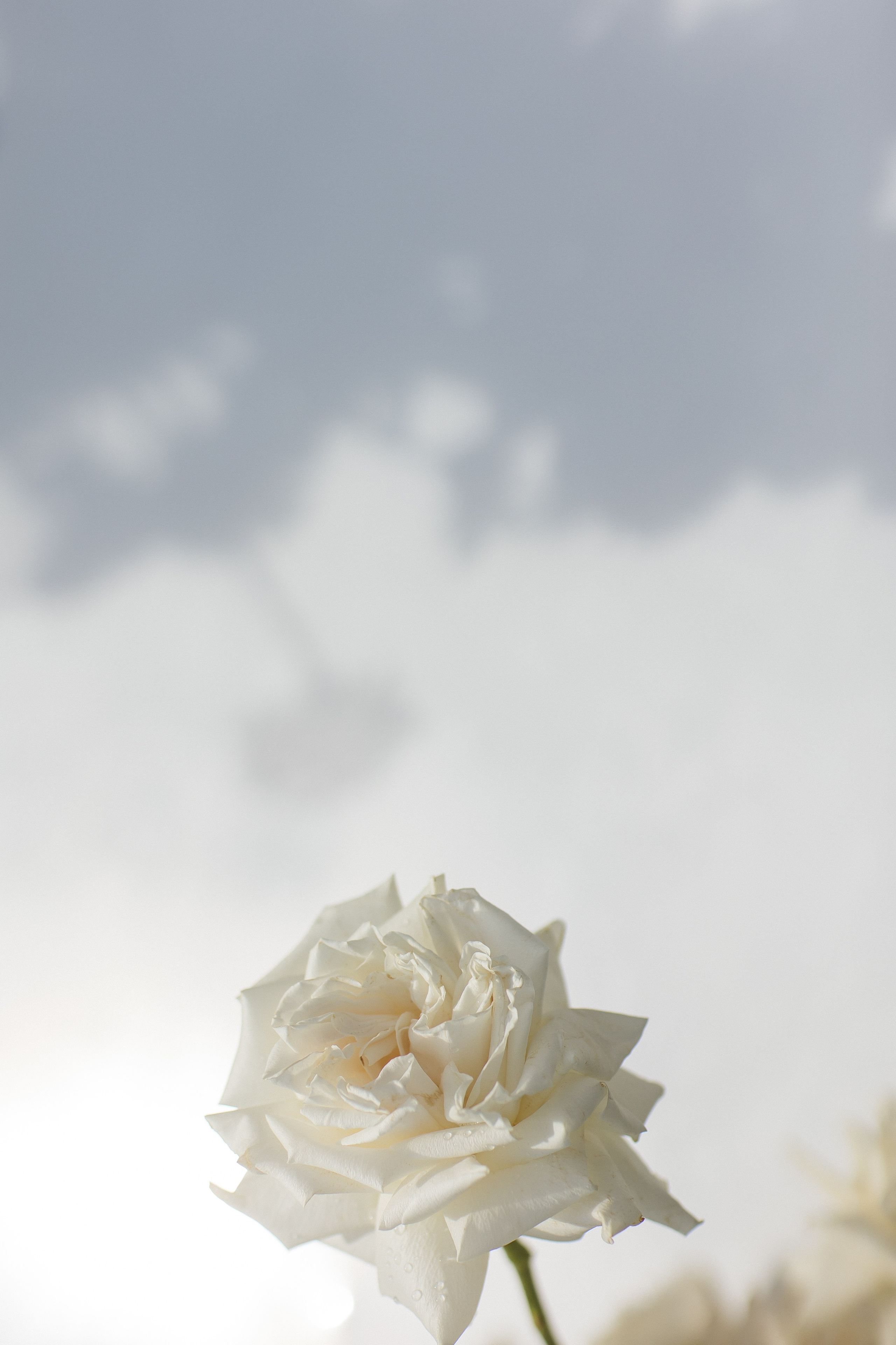 Павел и Полина. Свадебный фотограф в Красноярске