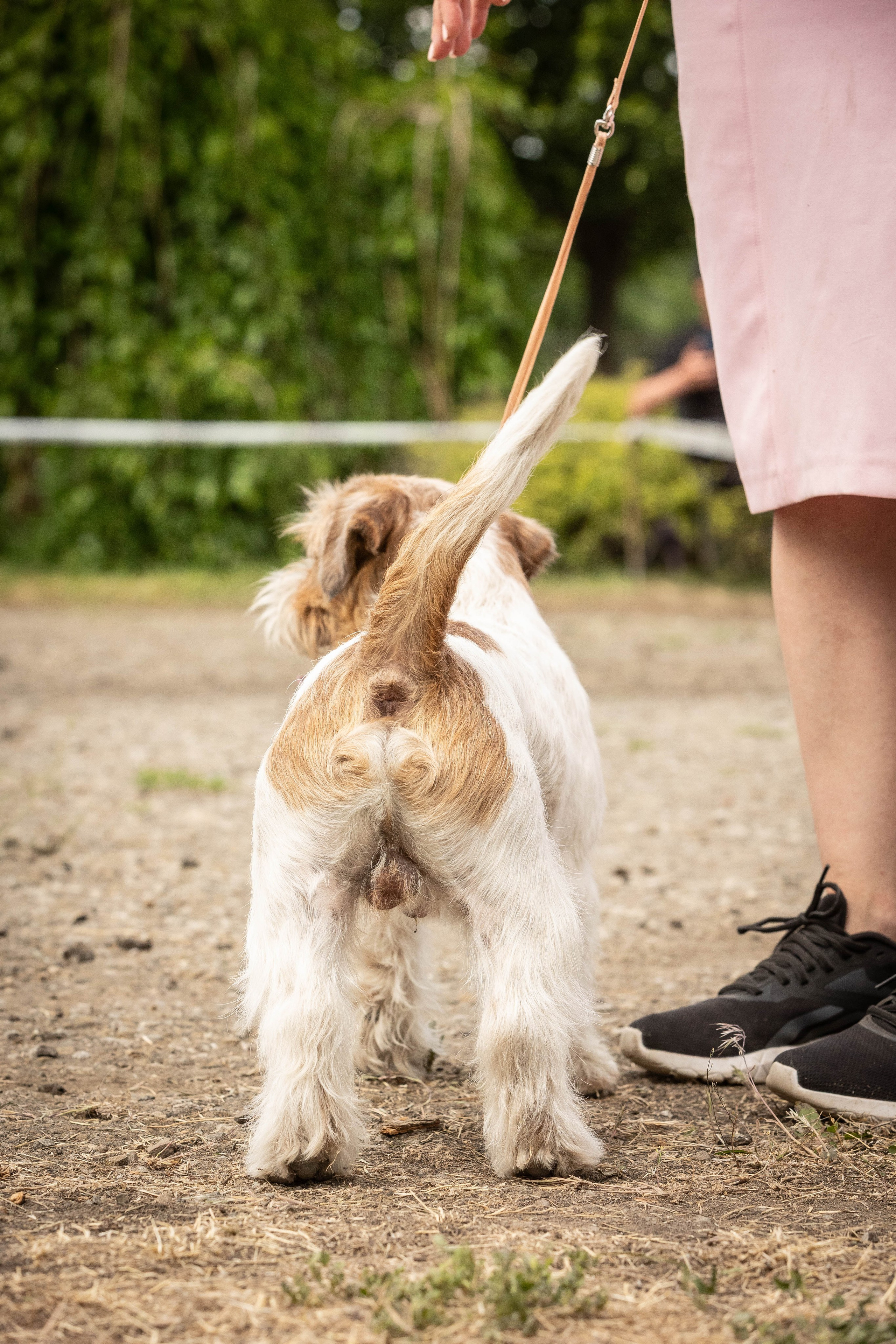 Репортаж (фото с выставок). Фотограф-АниМалист Анна Абрамова