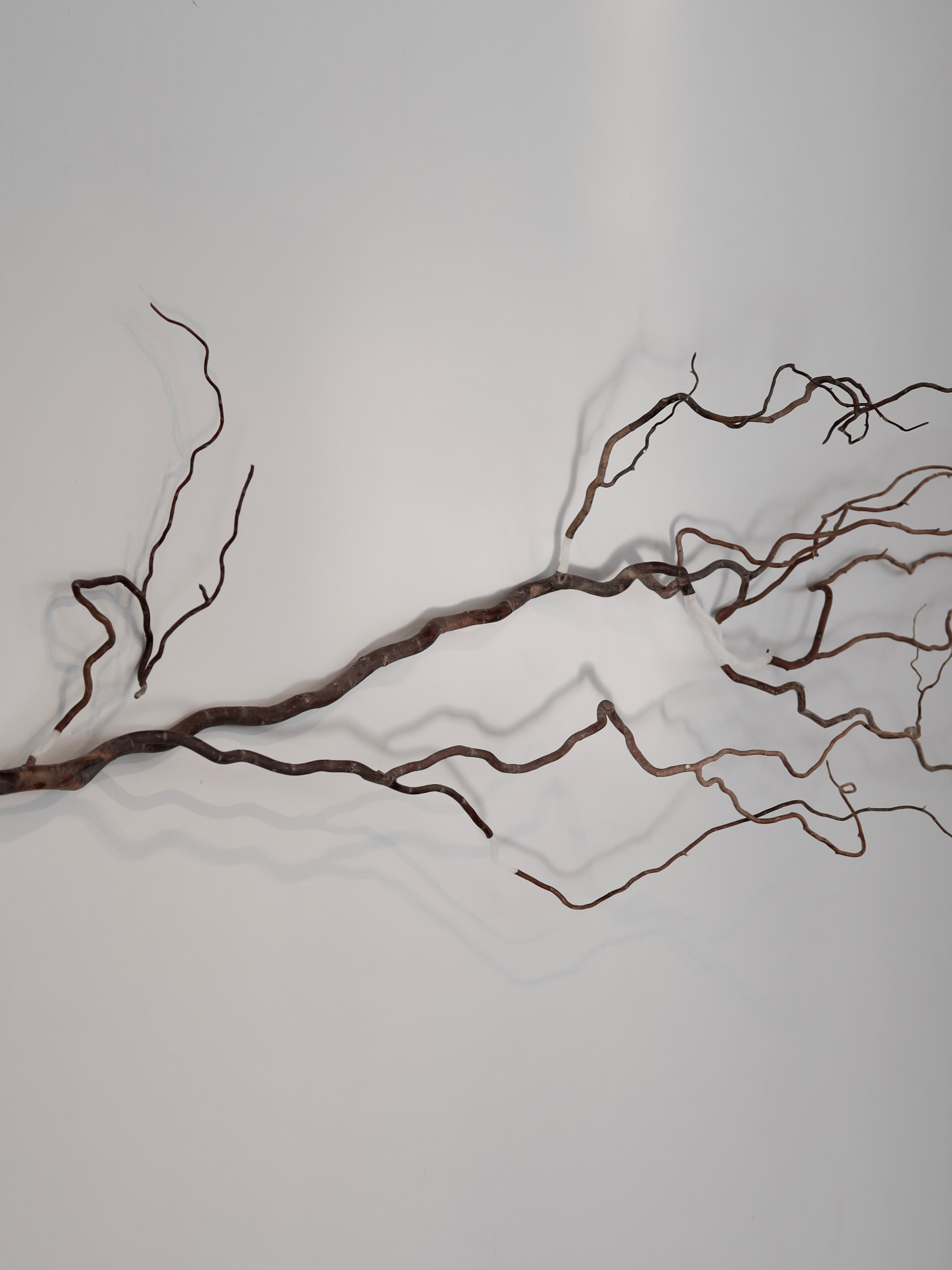 Выставка Степени прозрачности. Фотосессии и репортаж — Фотограф в Москве — Рина Серёгина