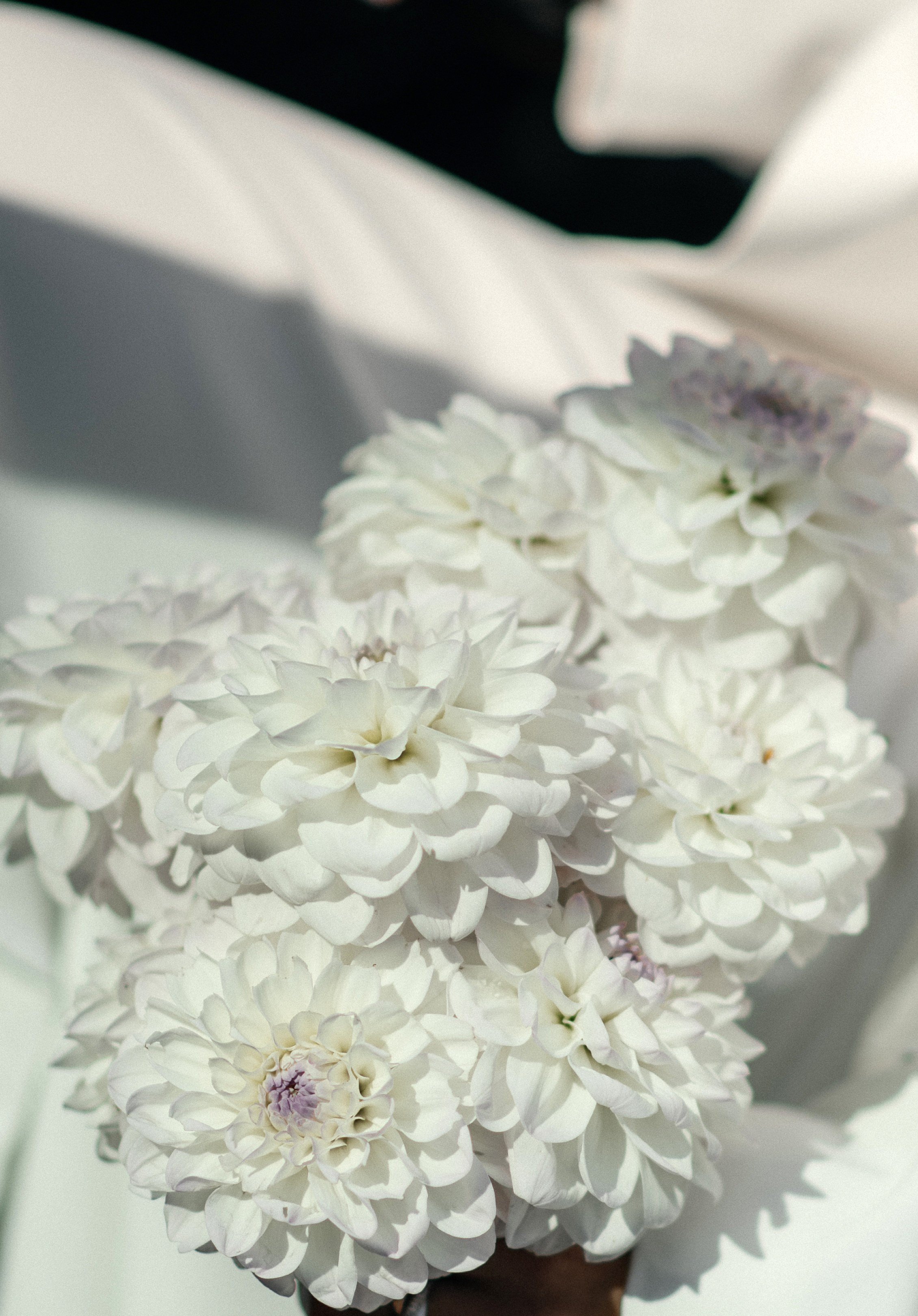 Рамис и Сафия. Главная