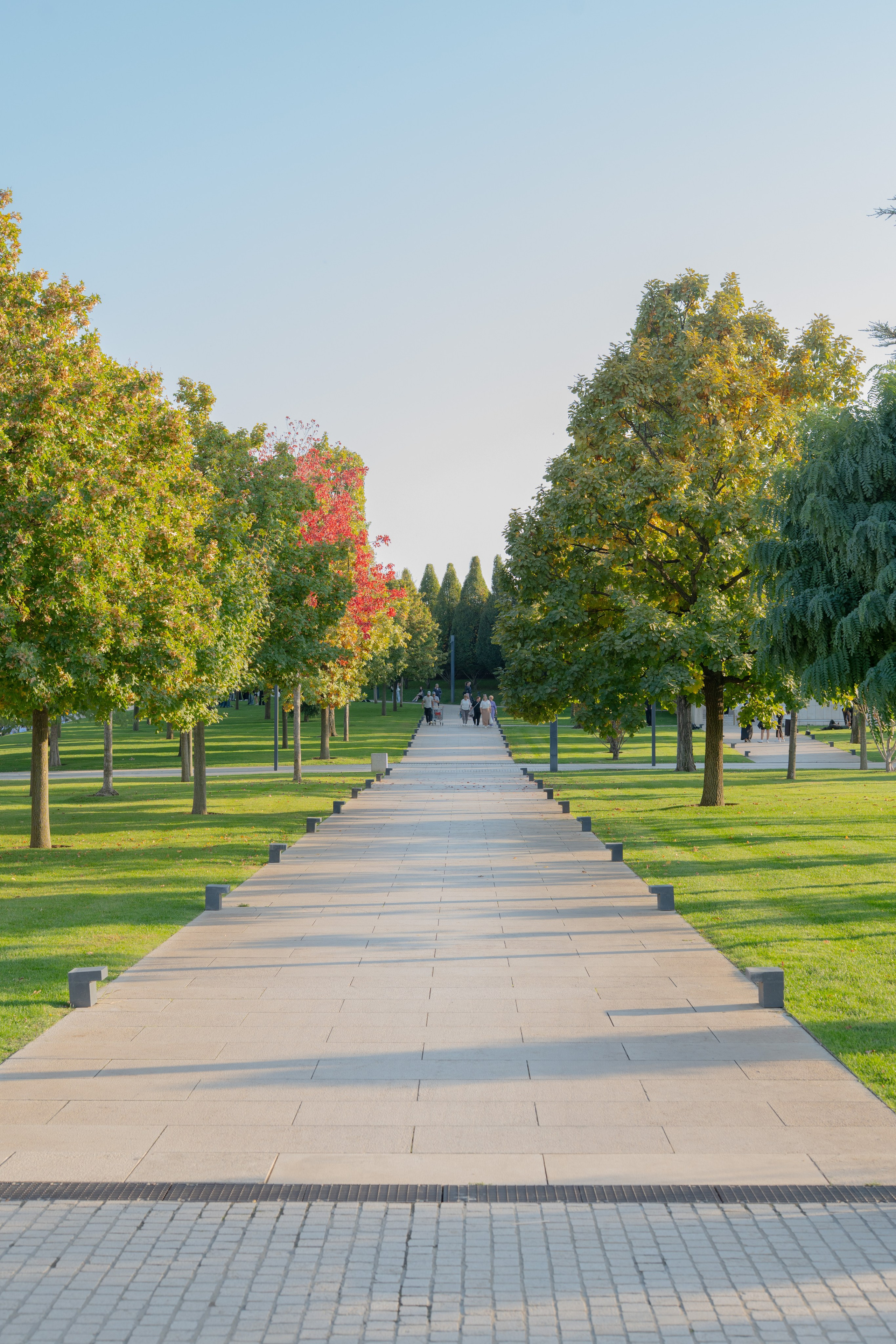 Парк Краснодар. 35 мм