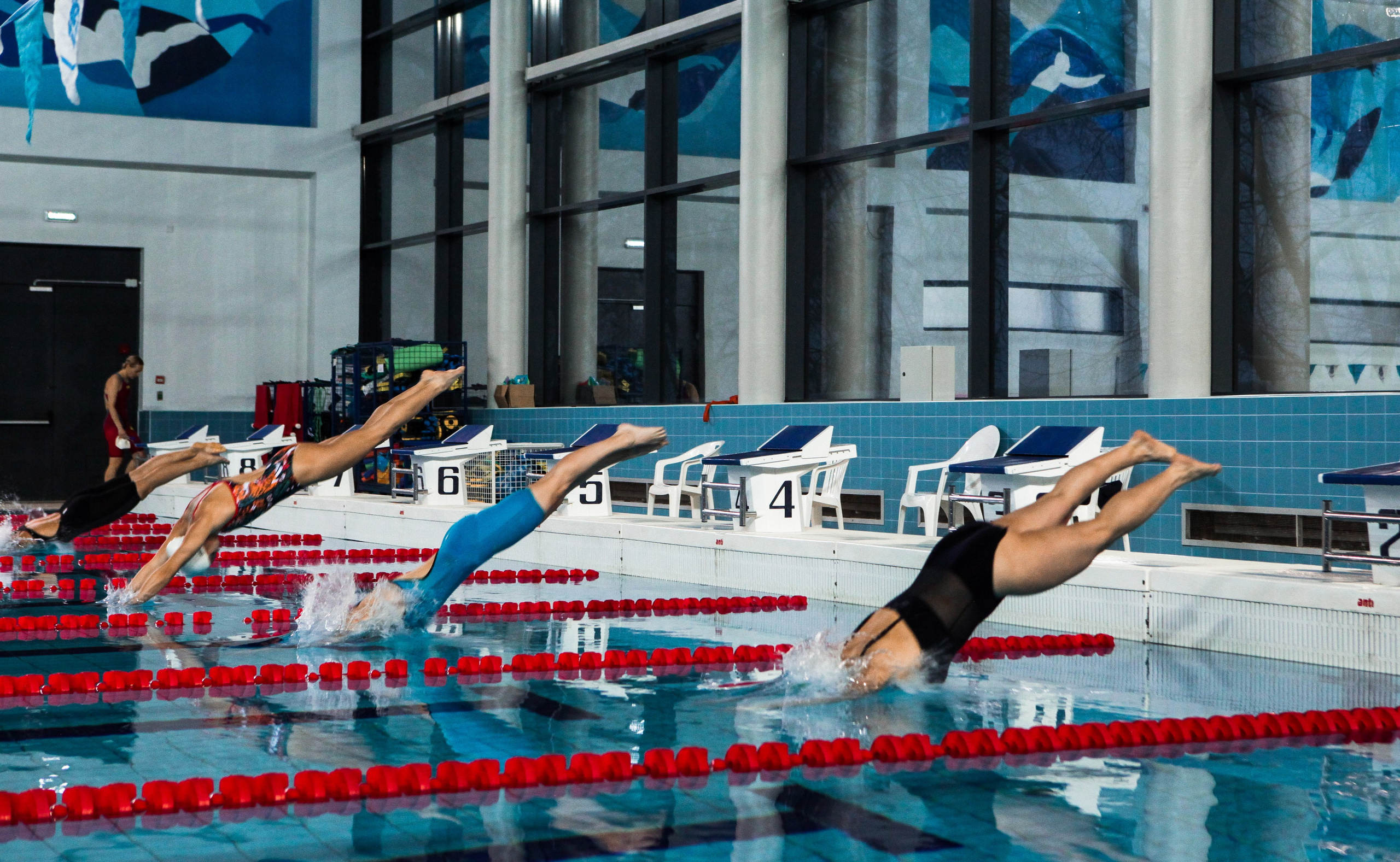 Соревнования по плаванию. Репортажный, семейный, свадебный, портретный фотограф