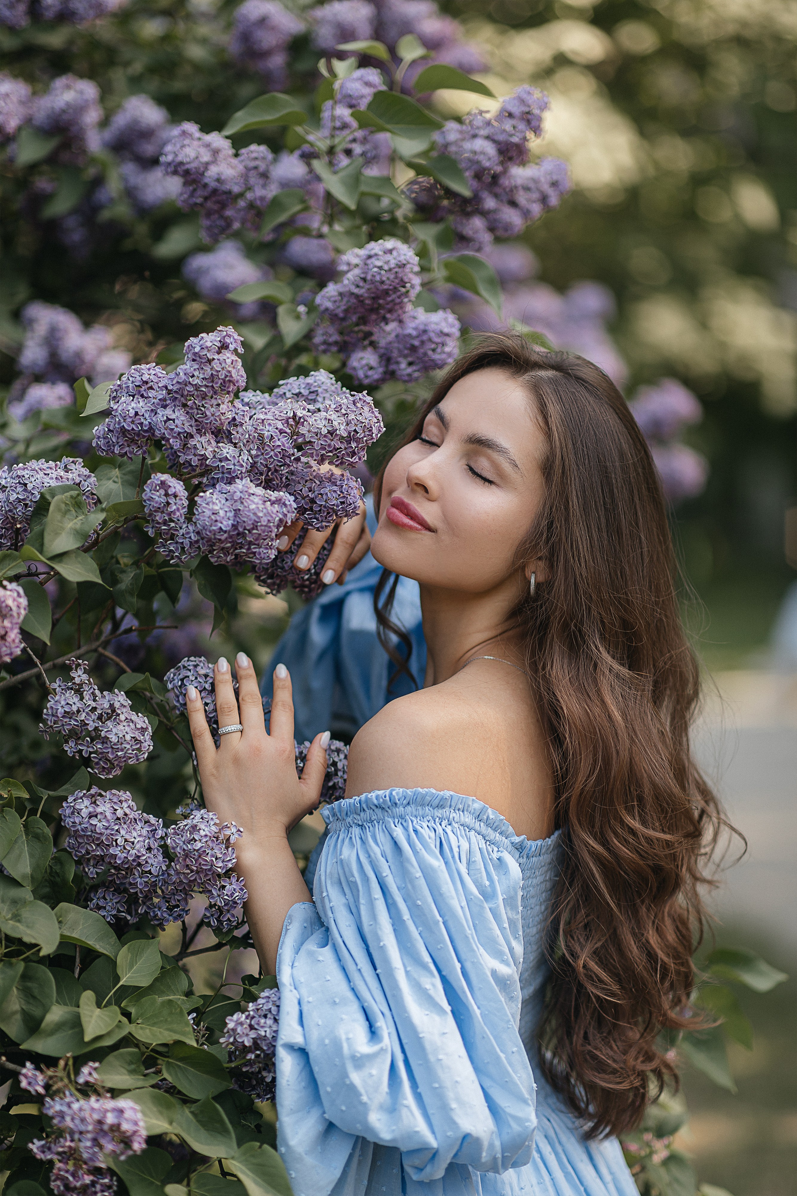 Сирень Азиза. Фотограф Москва