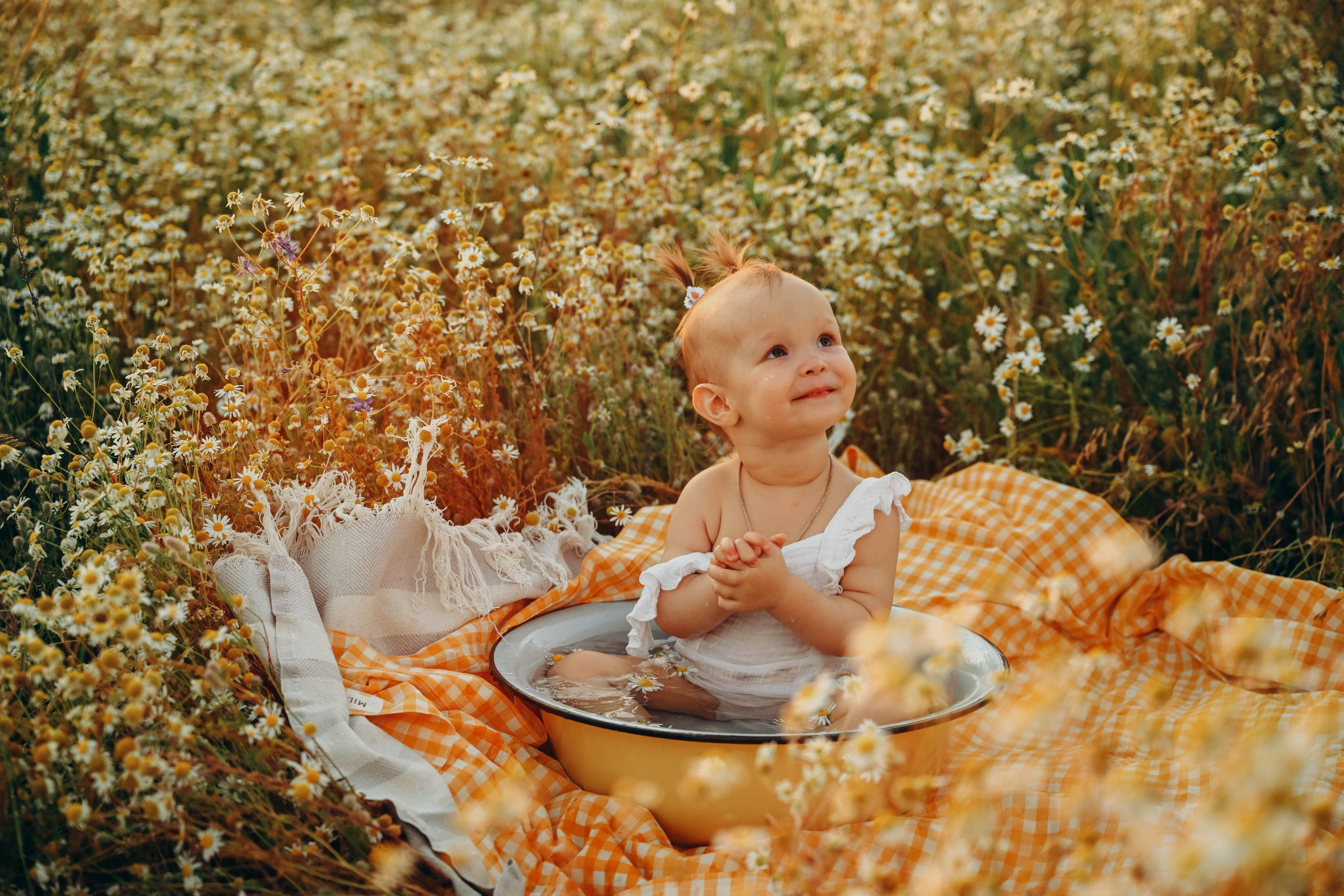 Ромашковое поле. Семейный фотограф в Москве Люберцах Ирина Вронская