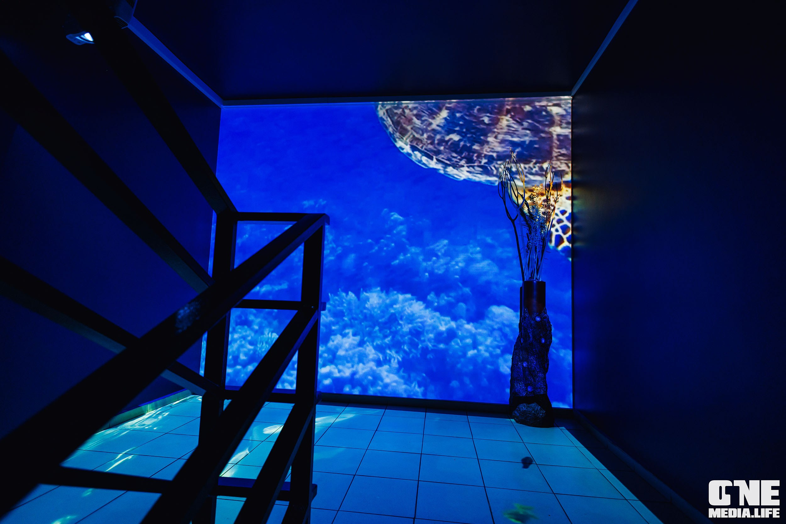 Фоторепортаж из ресторана Океан. One Media Life: фоторепортажи, фотоотчеты с мероприятий и заведений