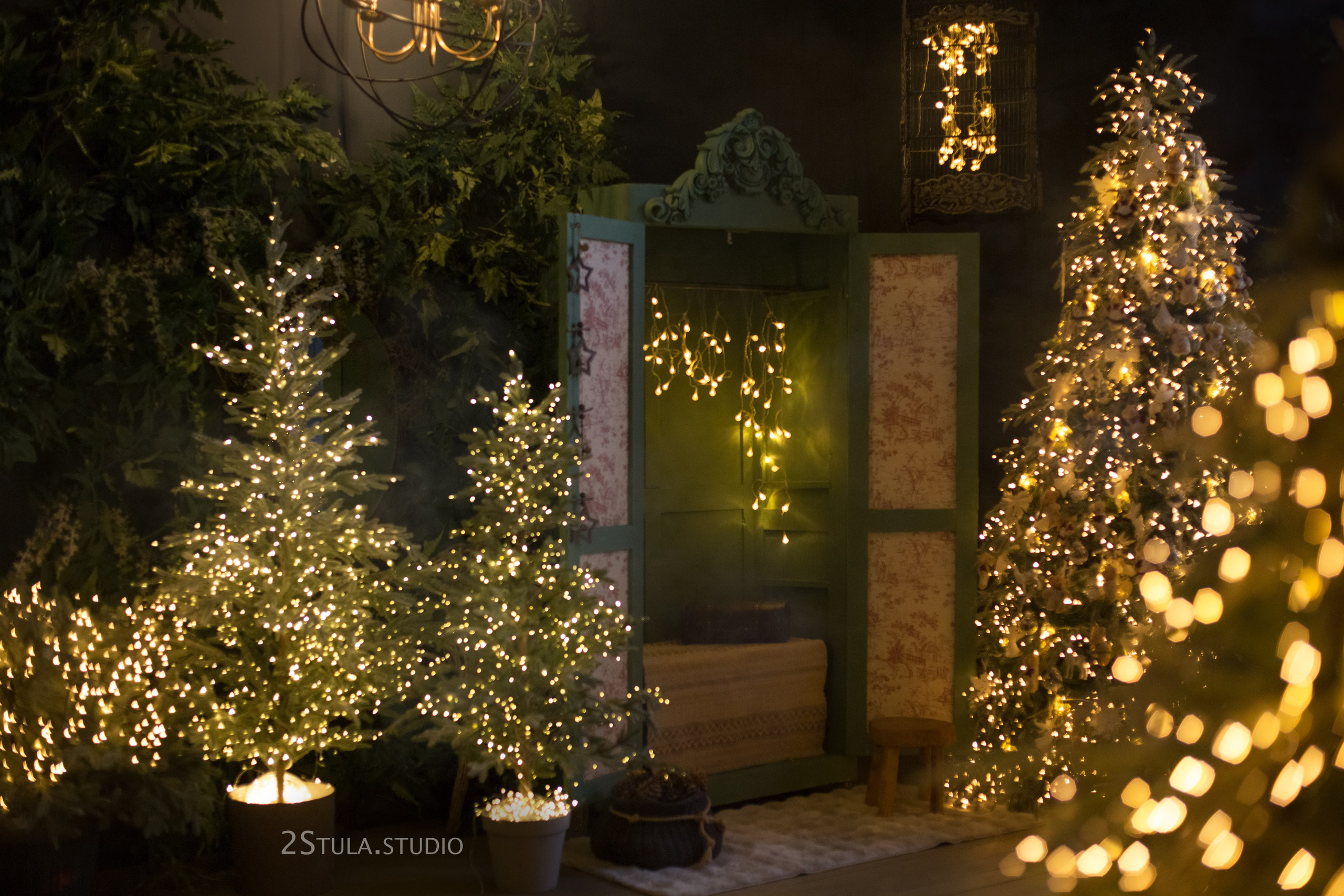 Зал Форест. Фотограф Тамара Катапова