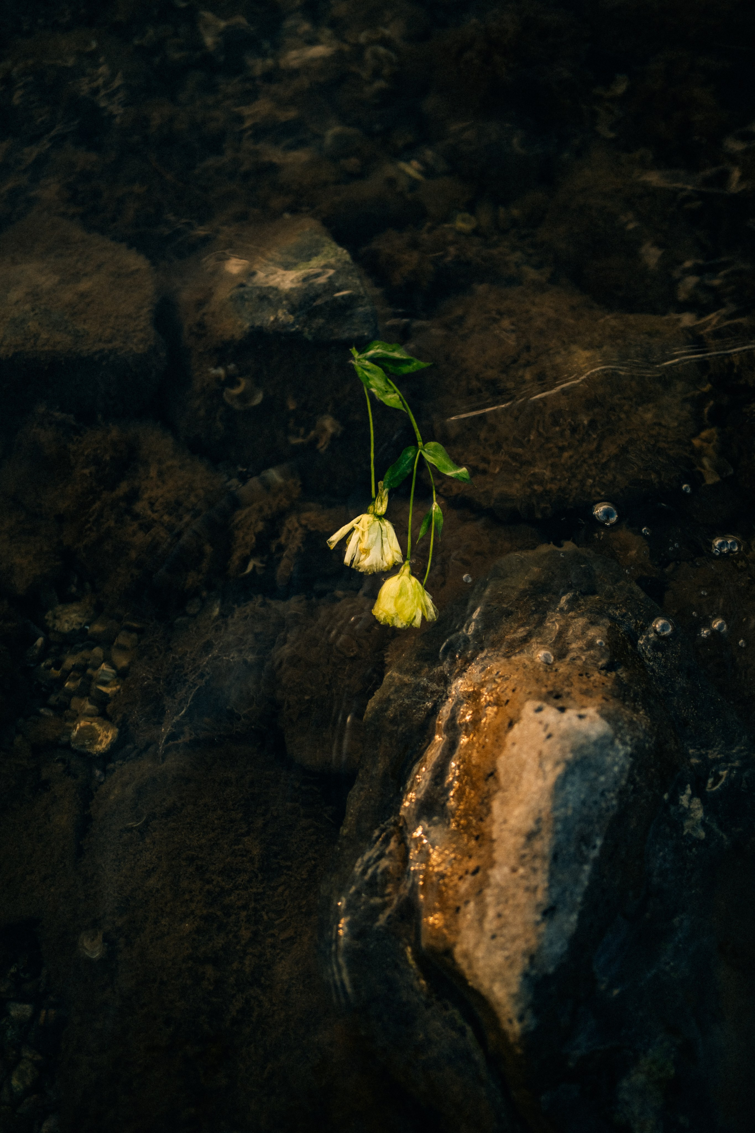 Глеб. Фотограф в Москве и МО Влада Обласова