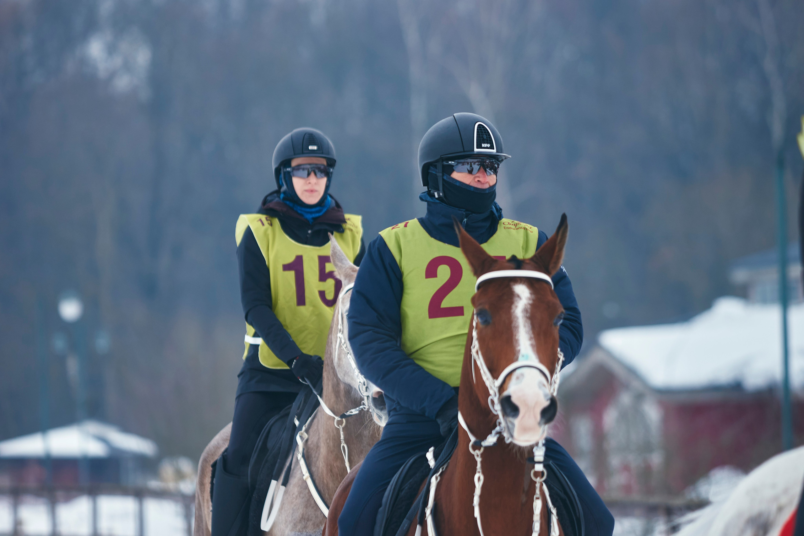 HORSE RACING. Фотограф Наталья Леонова