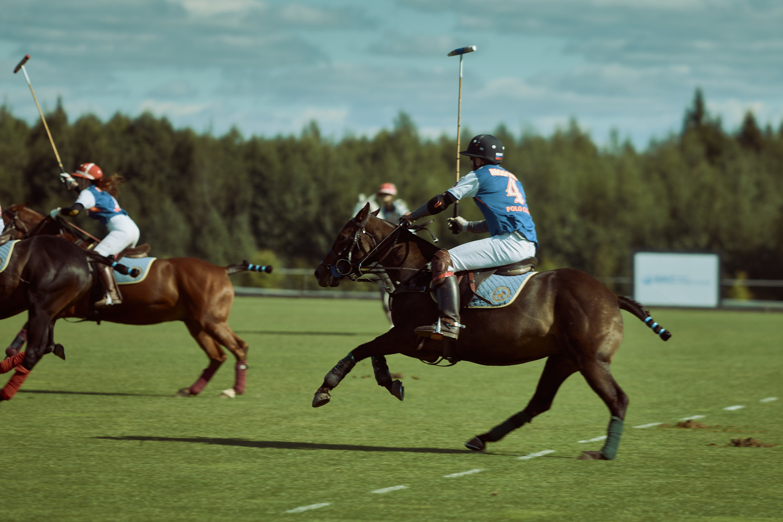 HORSE POLO. Фотограф Наталья Леонова