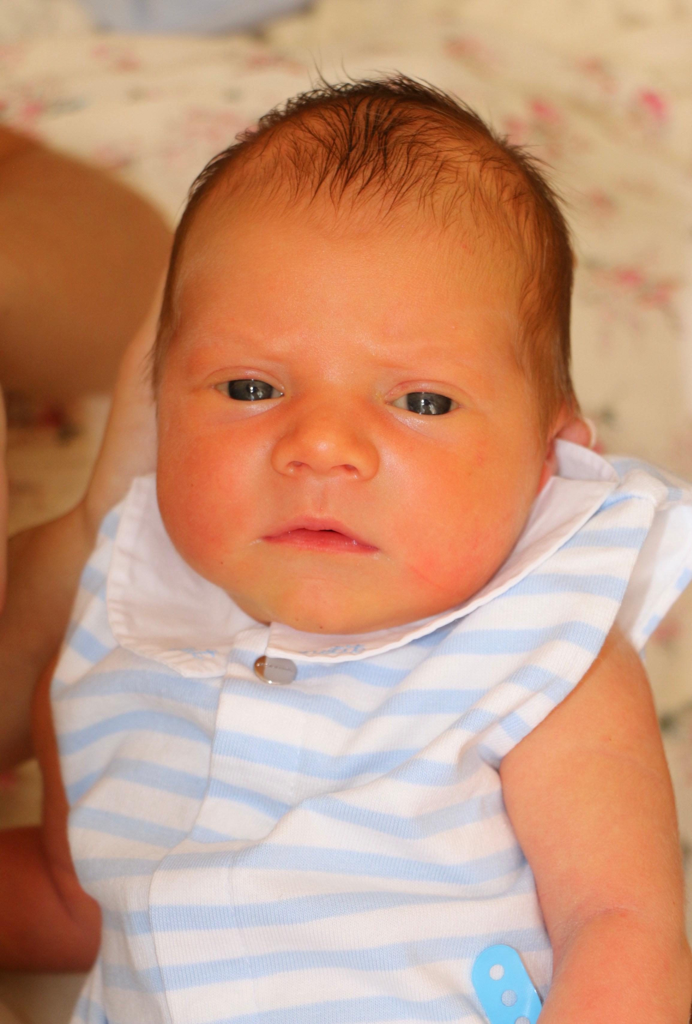 Выписка из роддома. Семейный и детский фотограф в Ялте Ольга Солерина