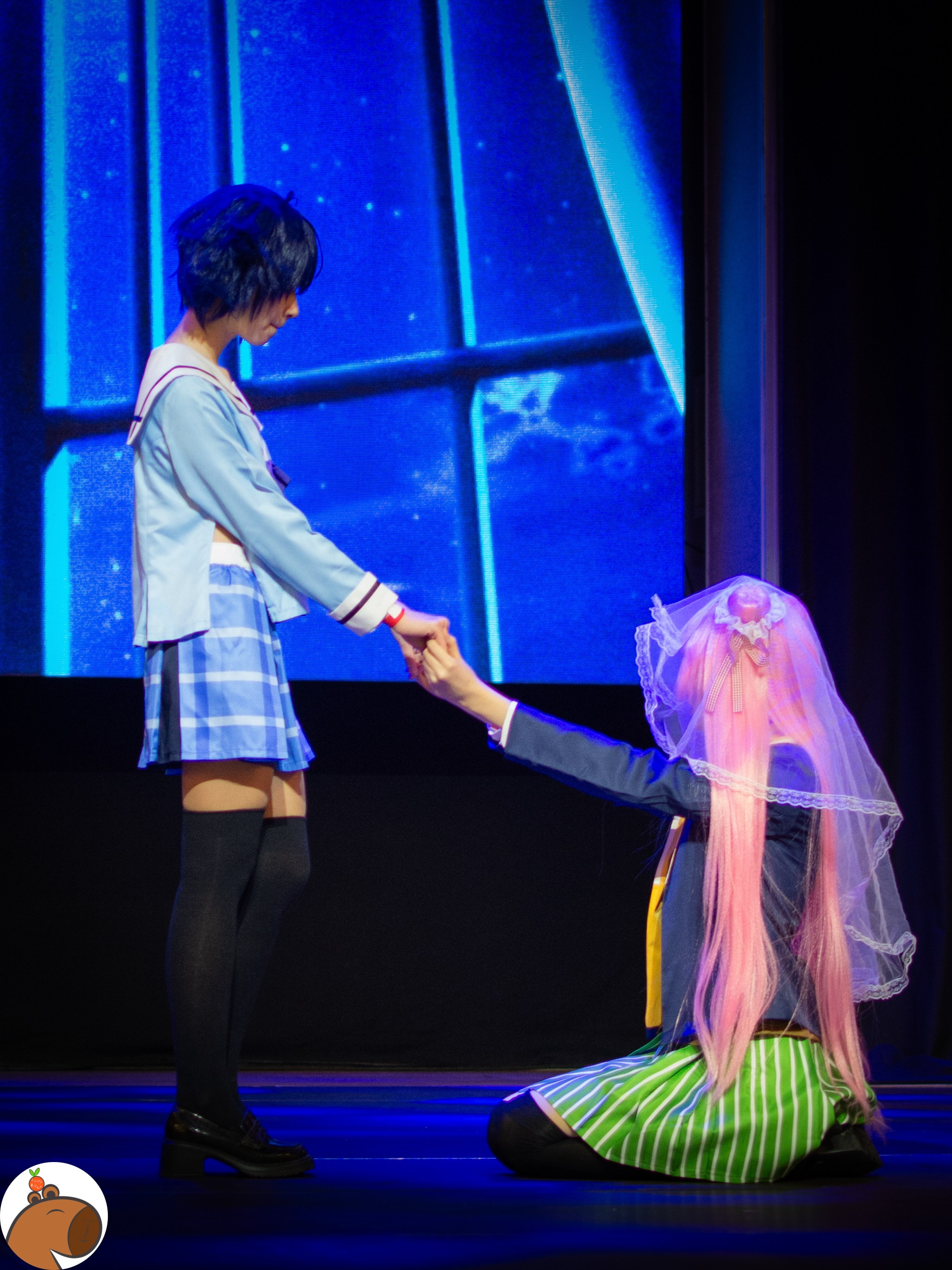 5 ночей с Капибарой. Уголок Капибарки