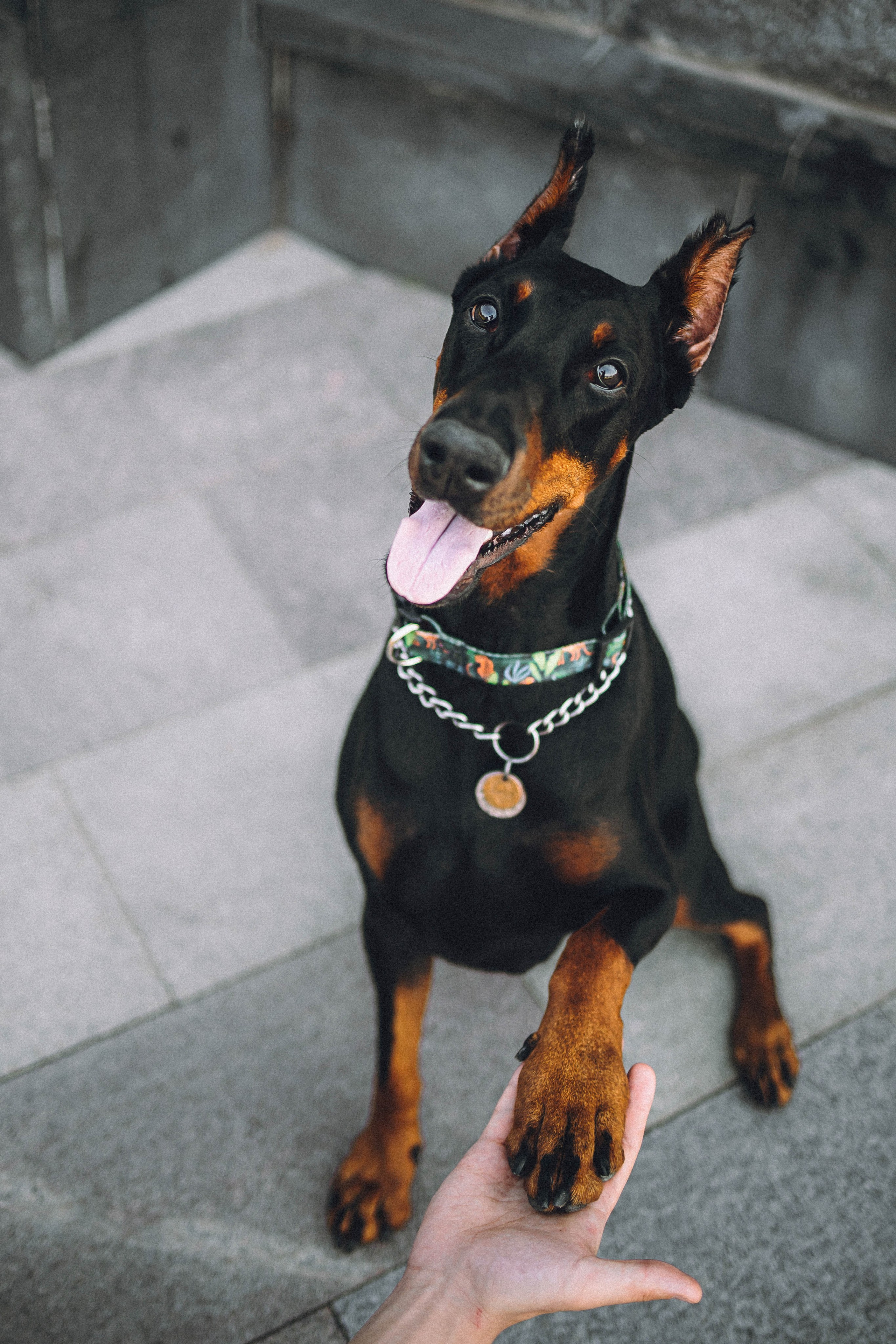 Паша и Хайди