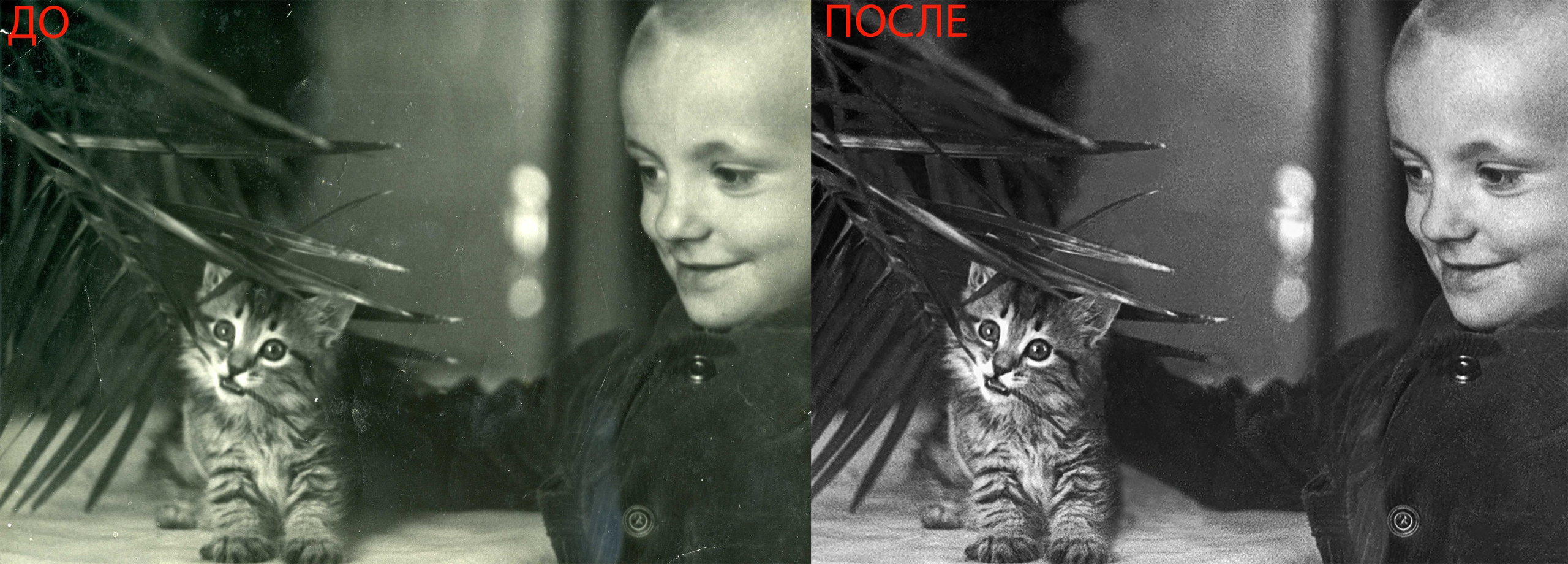 ОЦИФРОВКА И РЕТУШЬ. СЕМЕЙНЫЙ ФОТОГРАФ ЕЛЕНА МЕДВЕДЕВА САМАРА