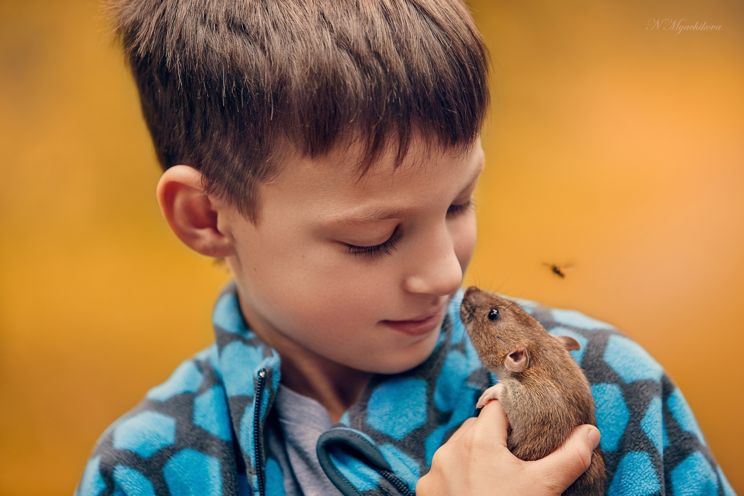 Детская фотосессия на улице и в студии. Детский и семейный фотограф в Нижнем Новгороде Мячикова Наталья