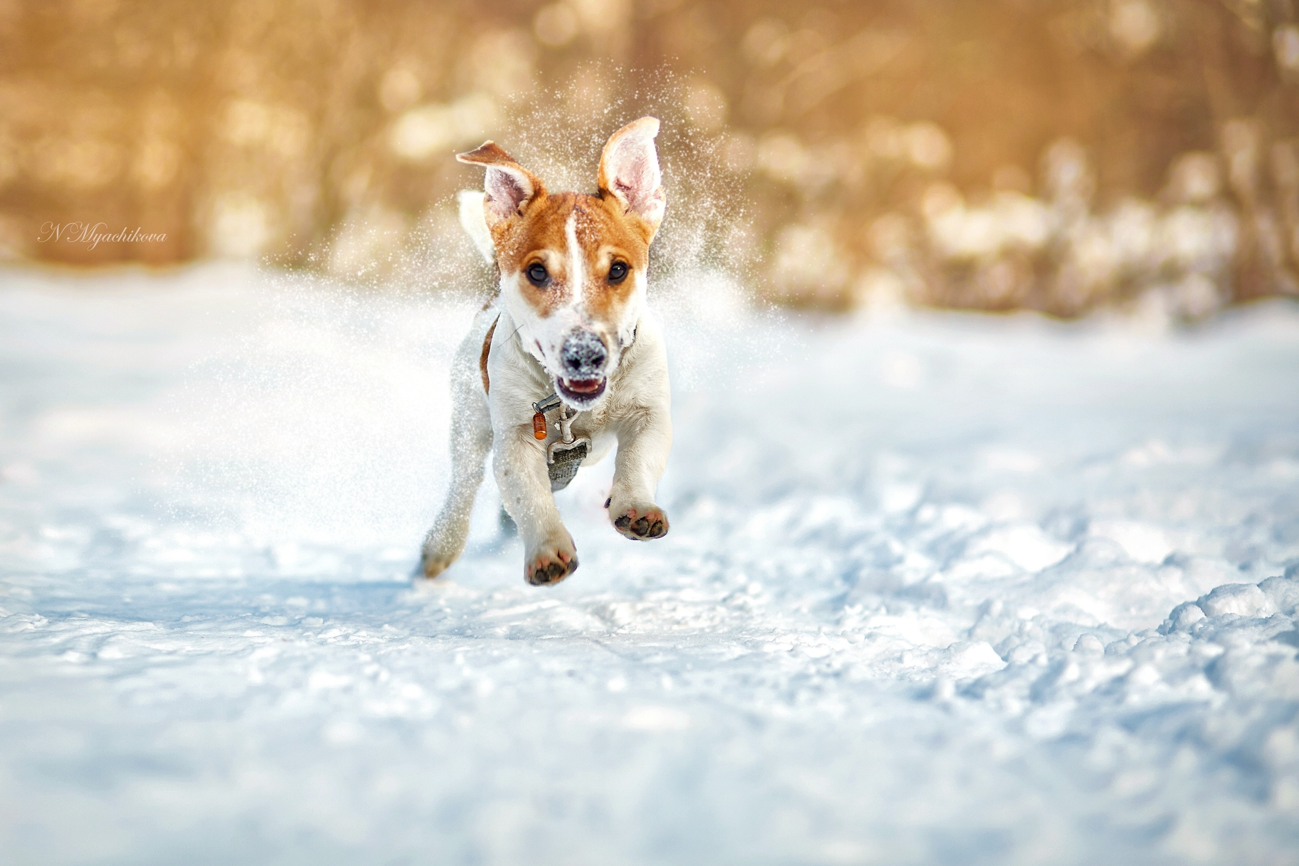 Съемка ребенка на Щелковском хуторе в Нижнем Новгороде. Детский и семейный фотограф в Нижнем Новгороде Мячикова Наталья