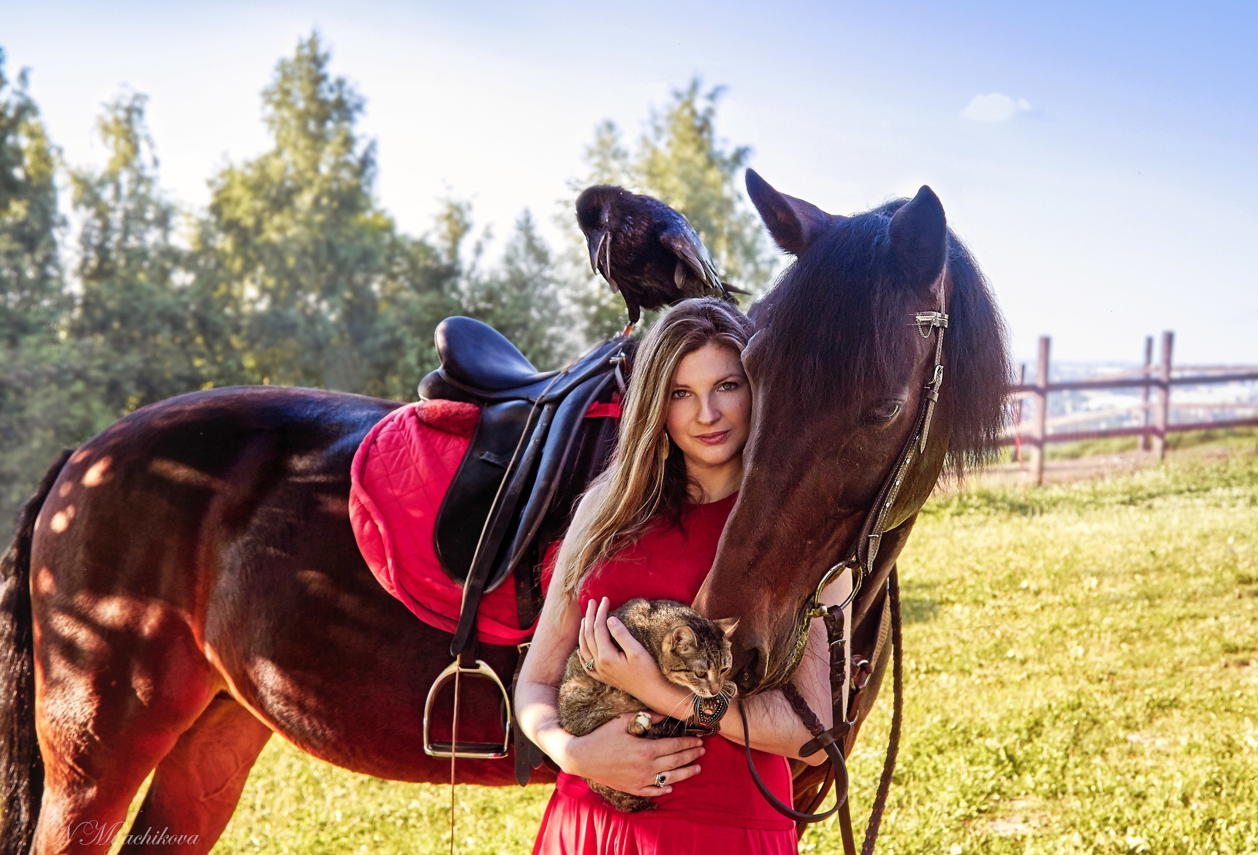 Фотосессия с конем в Нижегородской области, в Новинках. Детский и семейный фотограф в Нижнем Новгороде Мячикова Наталья