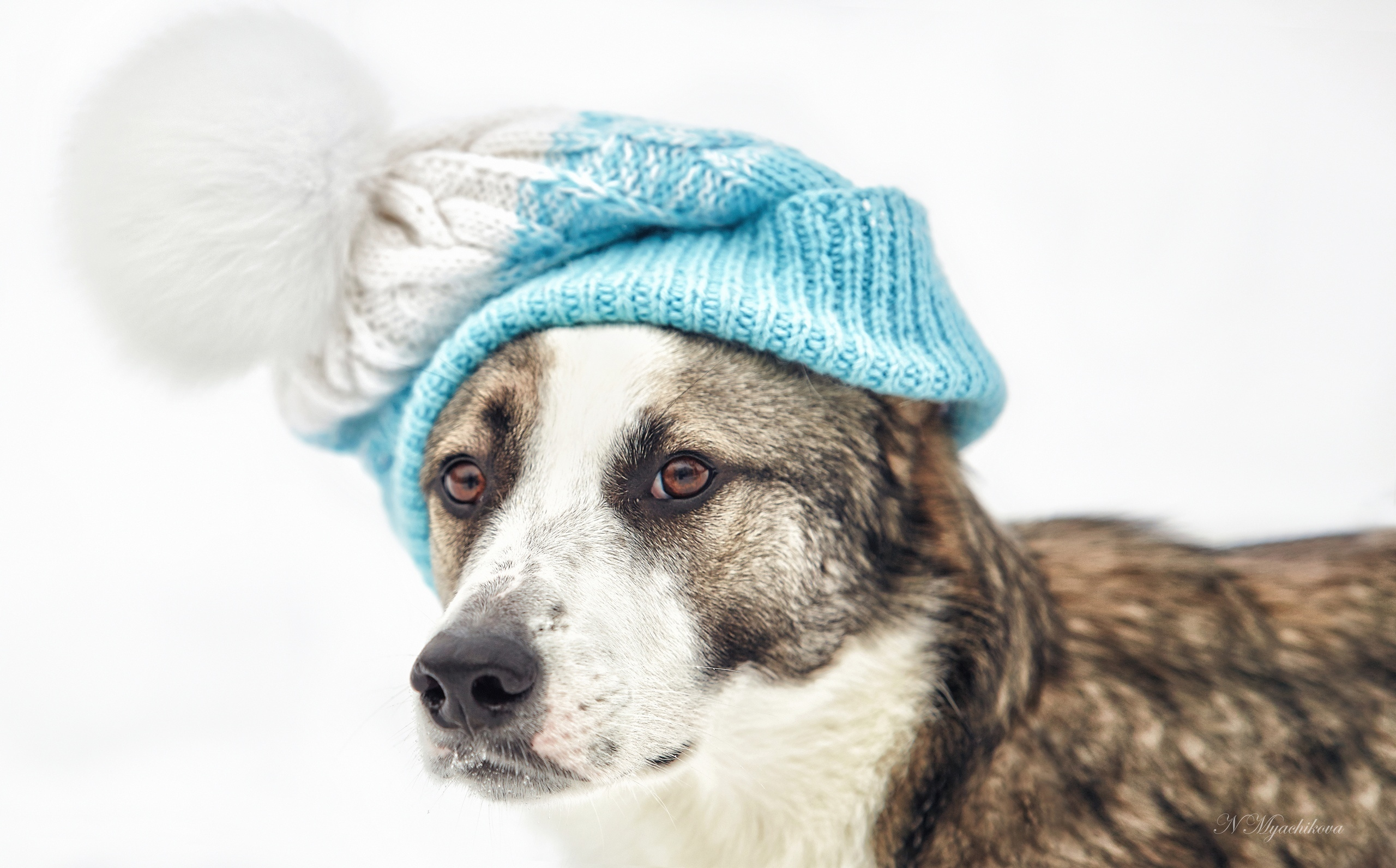 Съемка ребенка на Щелковском хуторе в Нижнем Новгороде. Детский и семейный фотограф в Нижнем Новгороде Мячикова Наталья