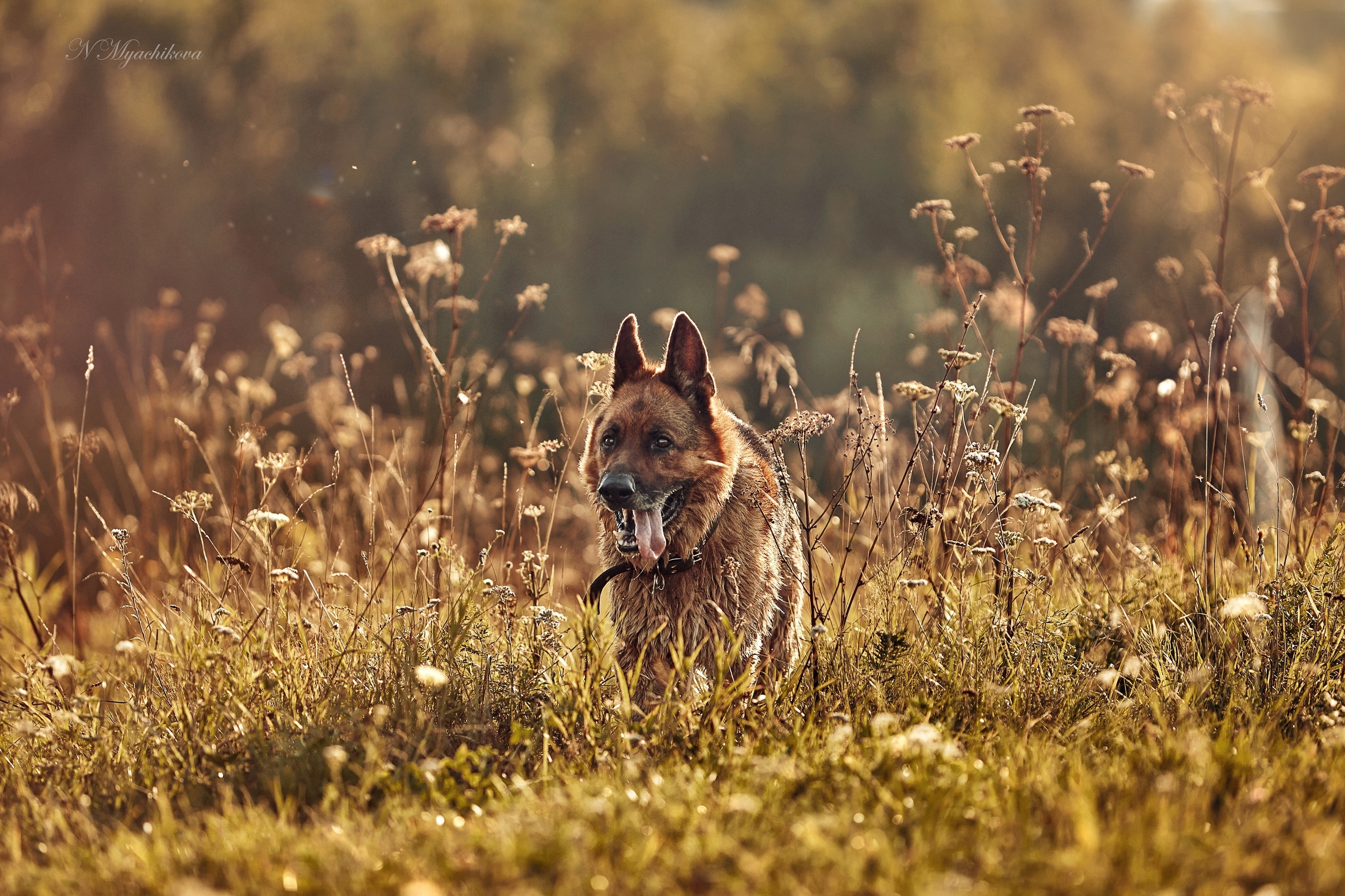 Съемка ребенка на Щелковском хуторе в Нижнем Новгороде. Детский и семейный фотограф в Нижнем Новгороде Мячикова Наталья