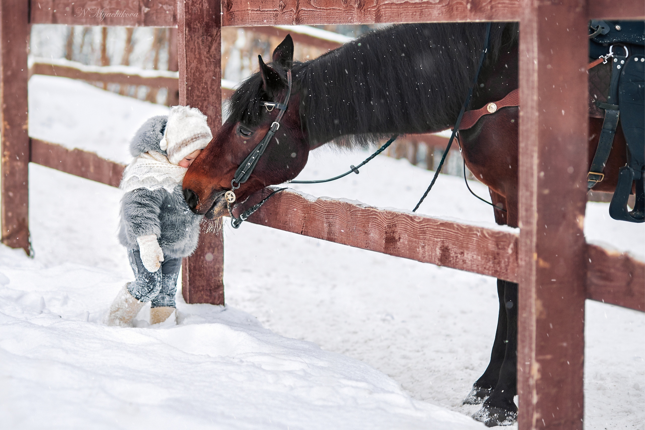 Фотосессия с конем в Нижегородской области, в Новинках. Детский и семейный фотограф в Нижнем Новгороде Мячикова Наталья