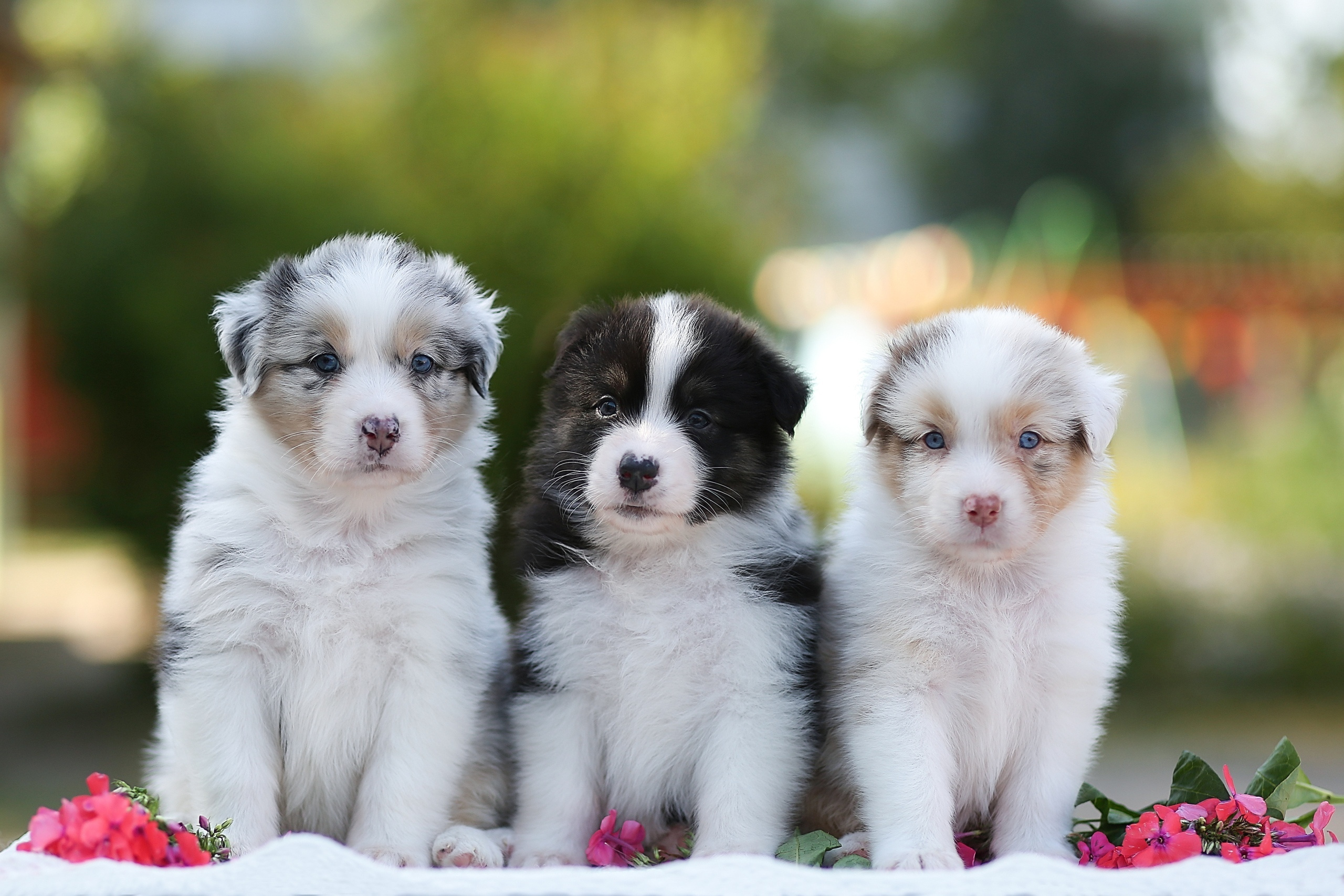 Съемка ребенка на Щелковском хуторе в Нижнем Новгороде. Детский и семейный фотограф в Нижнем Новгороде Мячикова Наталья