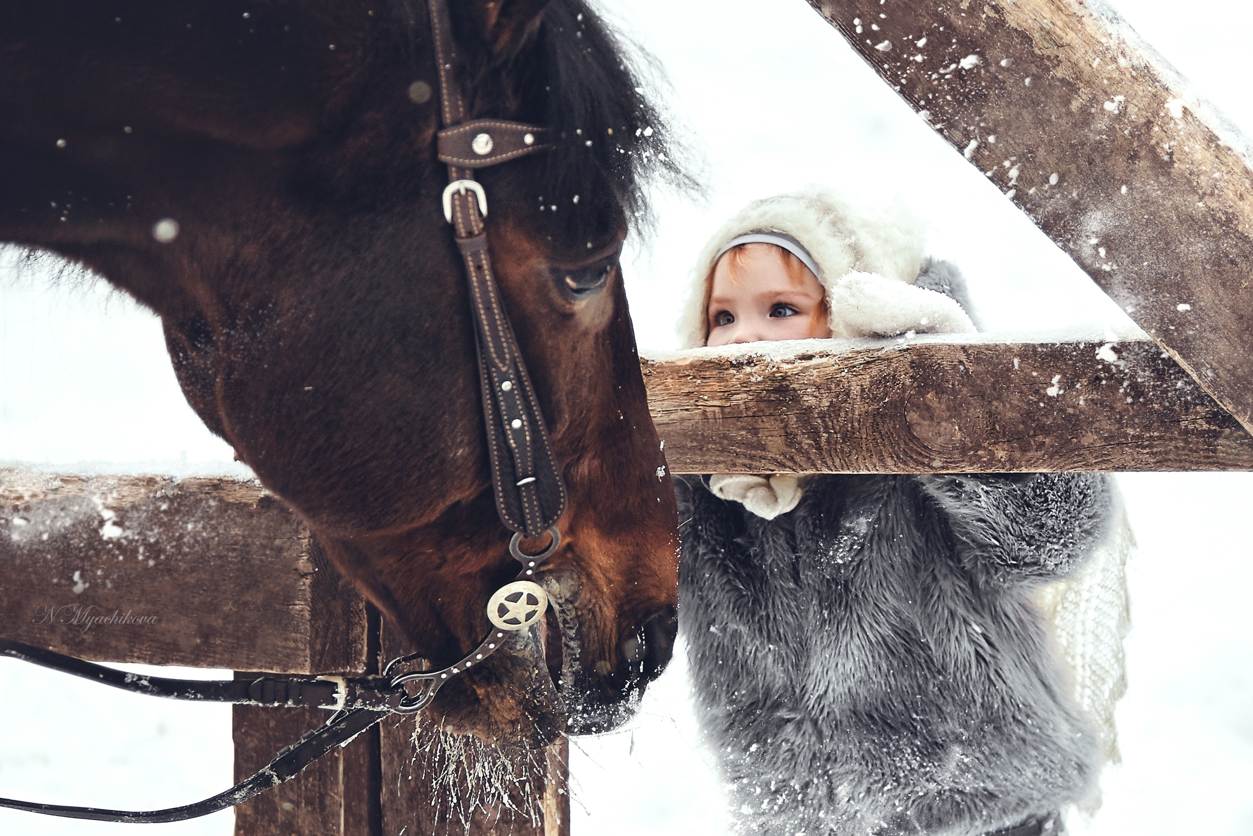 Фотосессия с конем в Нижегородской области, в Новинках. Детский и семейный фотограф в Нижнем Новгороде Мячикова Наталья
