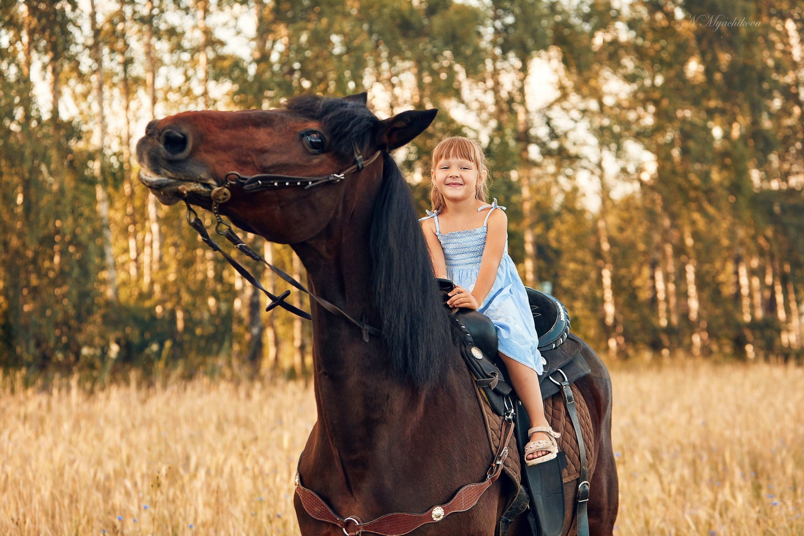 Фотосессия с конем в Нижегородской области, в Новинках. Детский и семейный фотограф в Нижнем Новгороде Мячикова Наталья