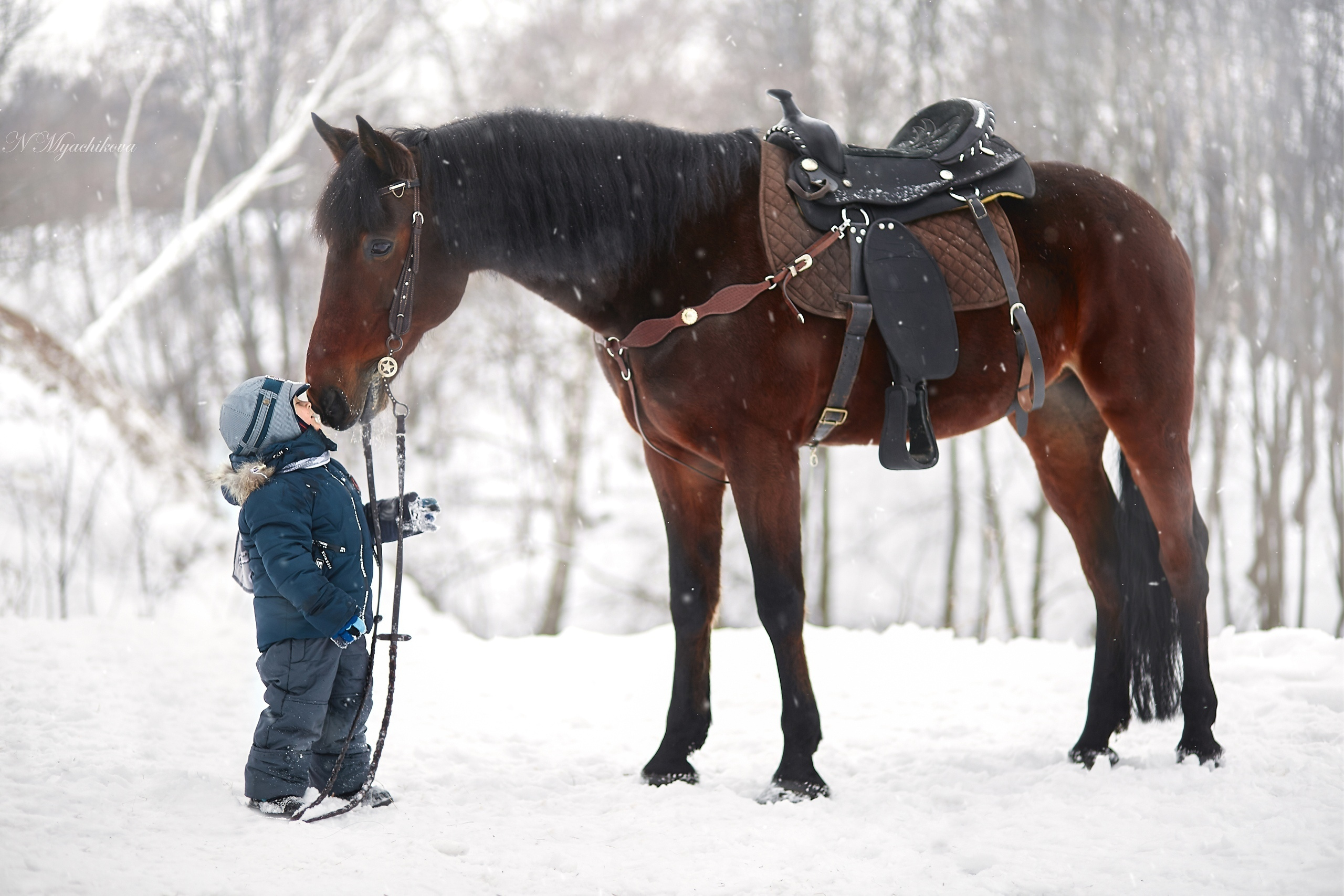 Фотосессия с конем в Нижегородской области, в Новинках. Детский и семейный фотограф в Нижнем Новгороде Мячикова Наталья