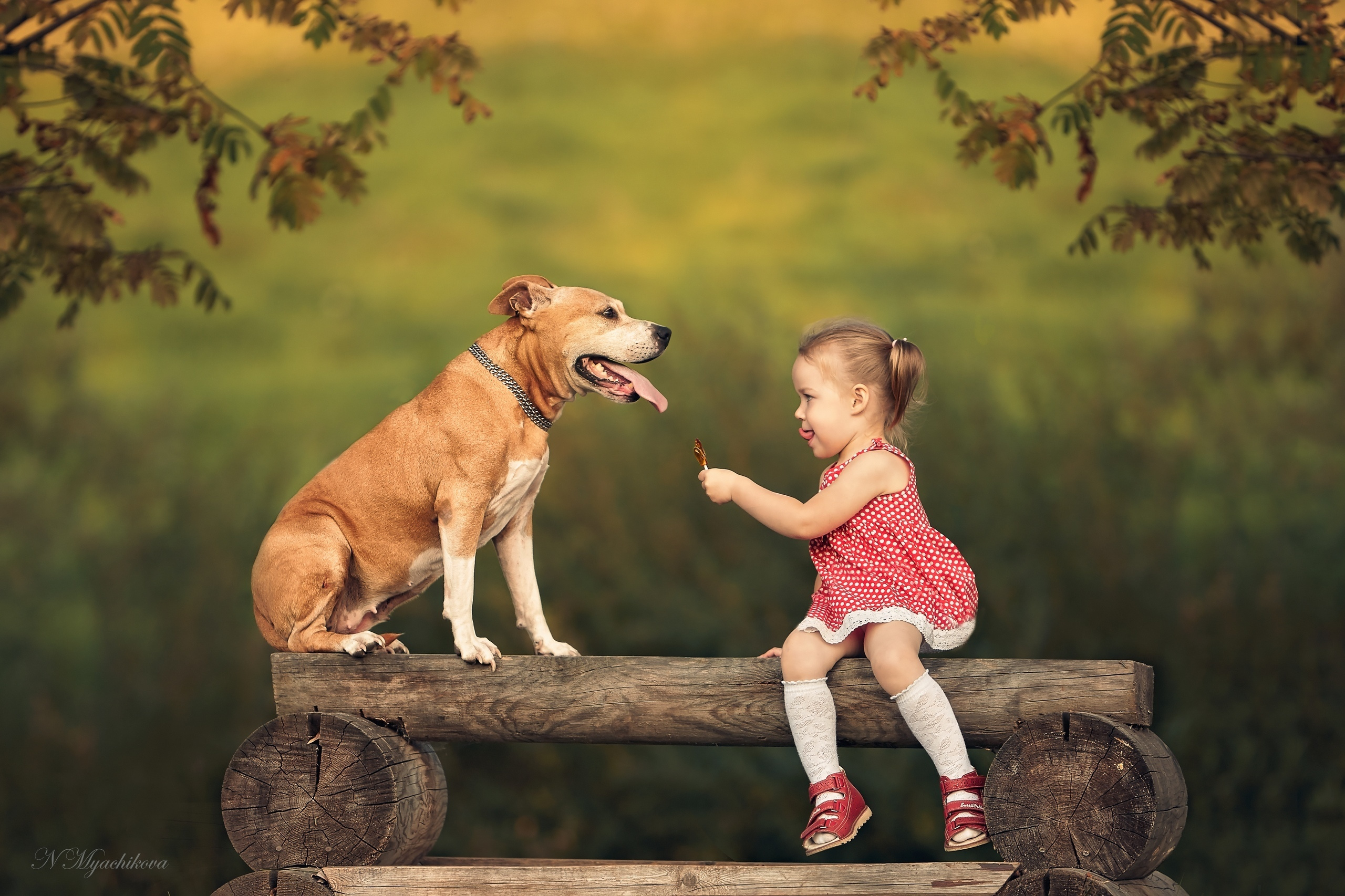 Съемка ребенка на Щелковском хуторе в Нижнем Новгороде. Детский и семейный фотограф в Нижнем Новгороде Мячикова Наталья