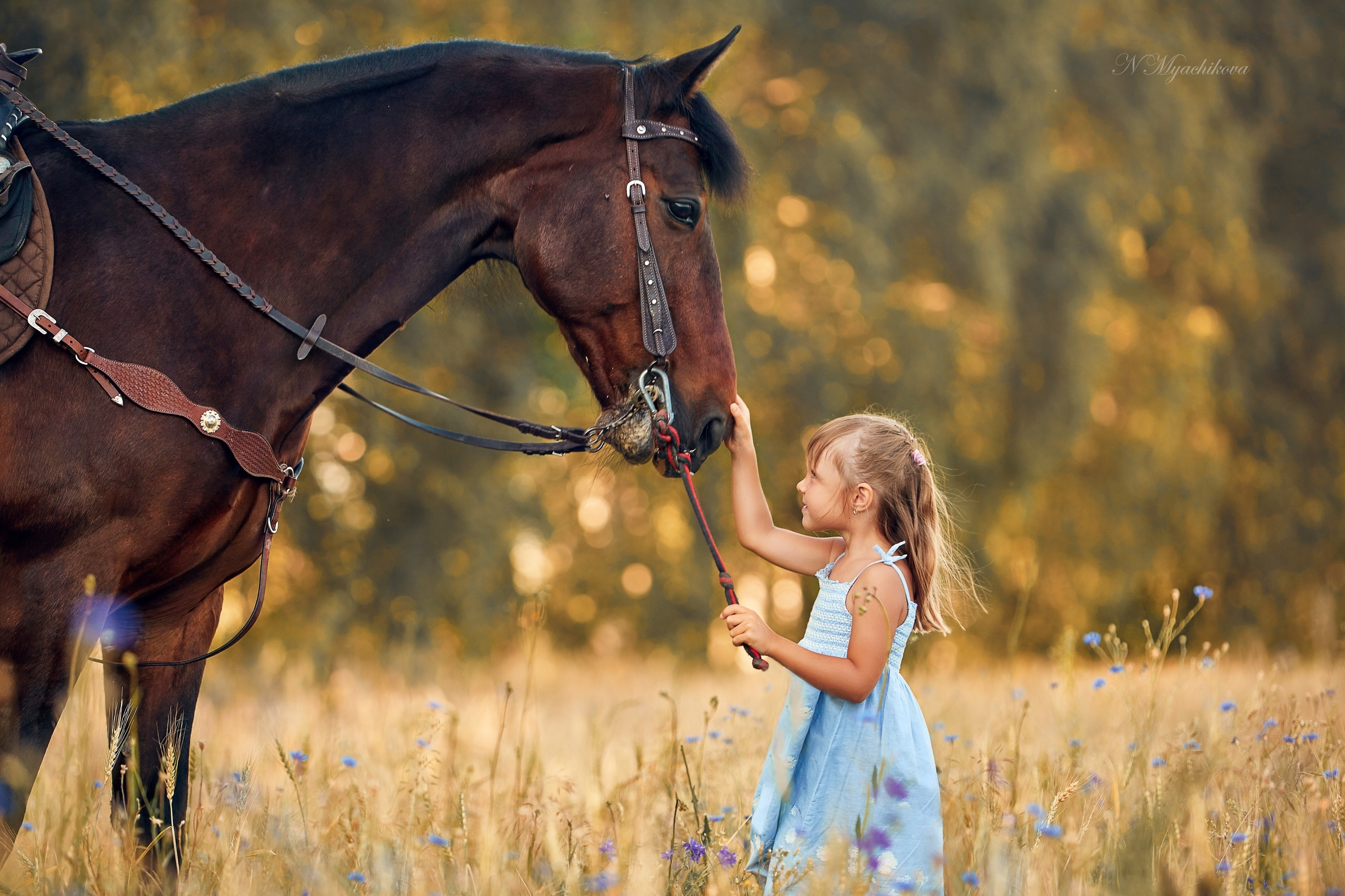 Фотосессия с конем в Нижегородской области, в Новинках. Детский и семейный фотограф в Нижнем Новгороде Мячикова Наталья
