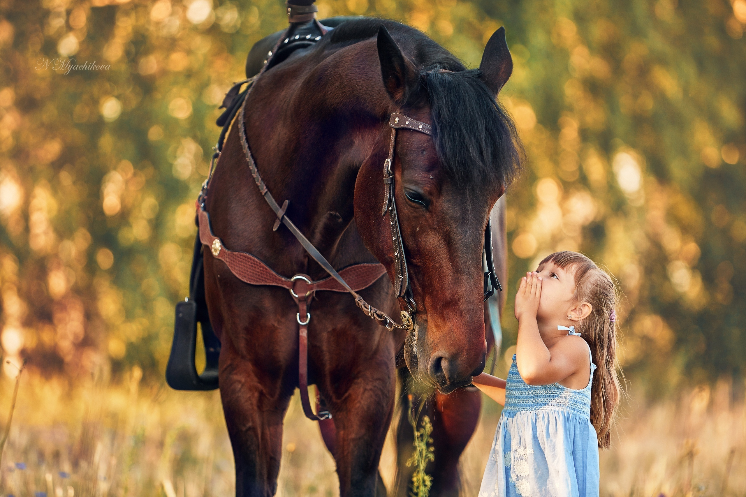 Фотосессия с конем в Нижегородской области, в Новинках. Детский и семейный фотограф в Нижнем Новгороде Мячикова Наталья