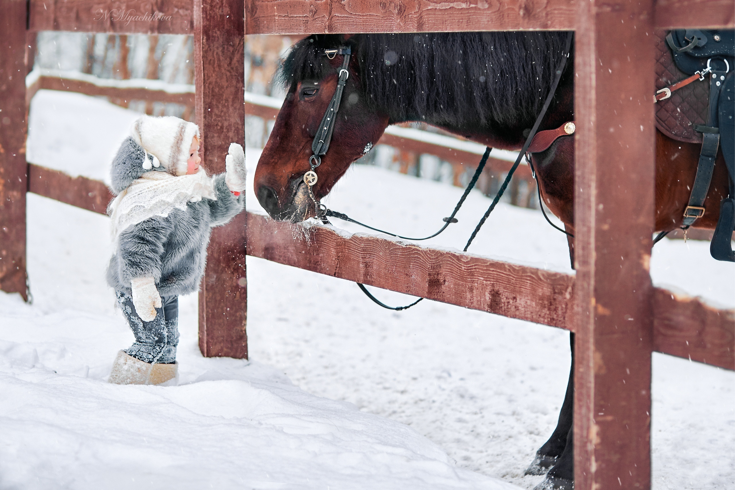 Фотосессия с конем в Нижегородской области, в Новинках. Детский и семейный фотограф в Нижнем Новгороде Мячикова Наталья