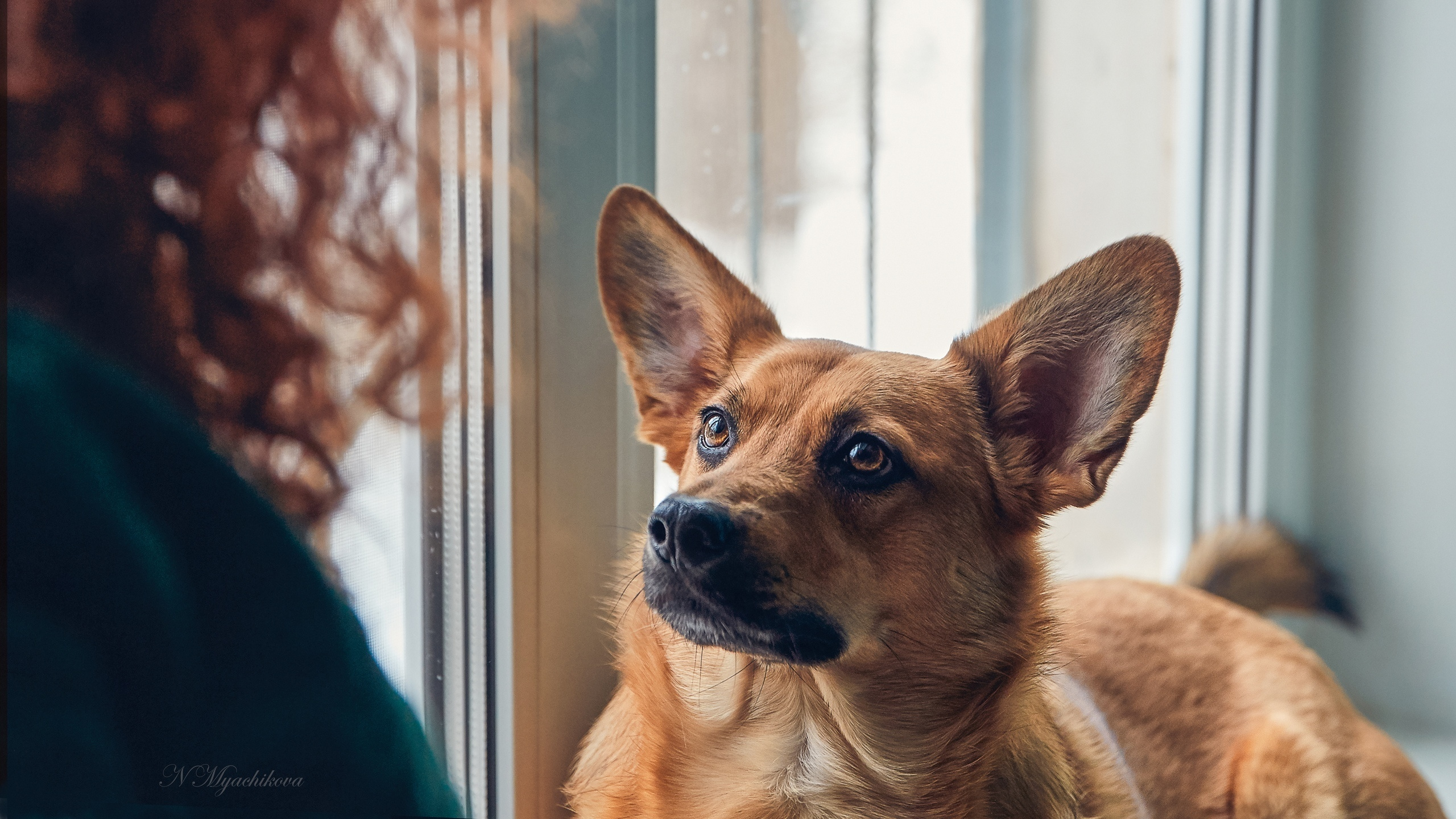 Съемка ребенка на Щелковском хуторе в Нижнем Новгороде. Детский и семейный фотограф в Нижнем Новгороде Мячикова Наталья