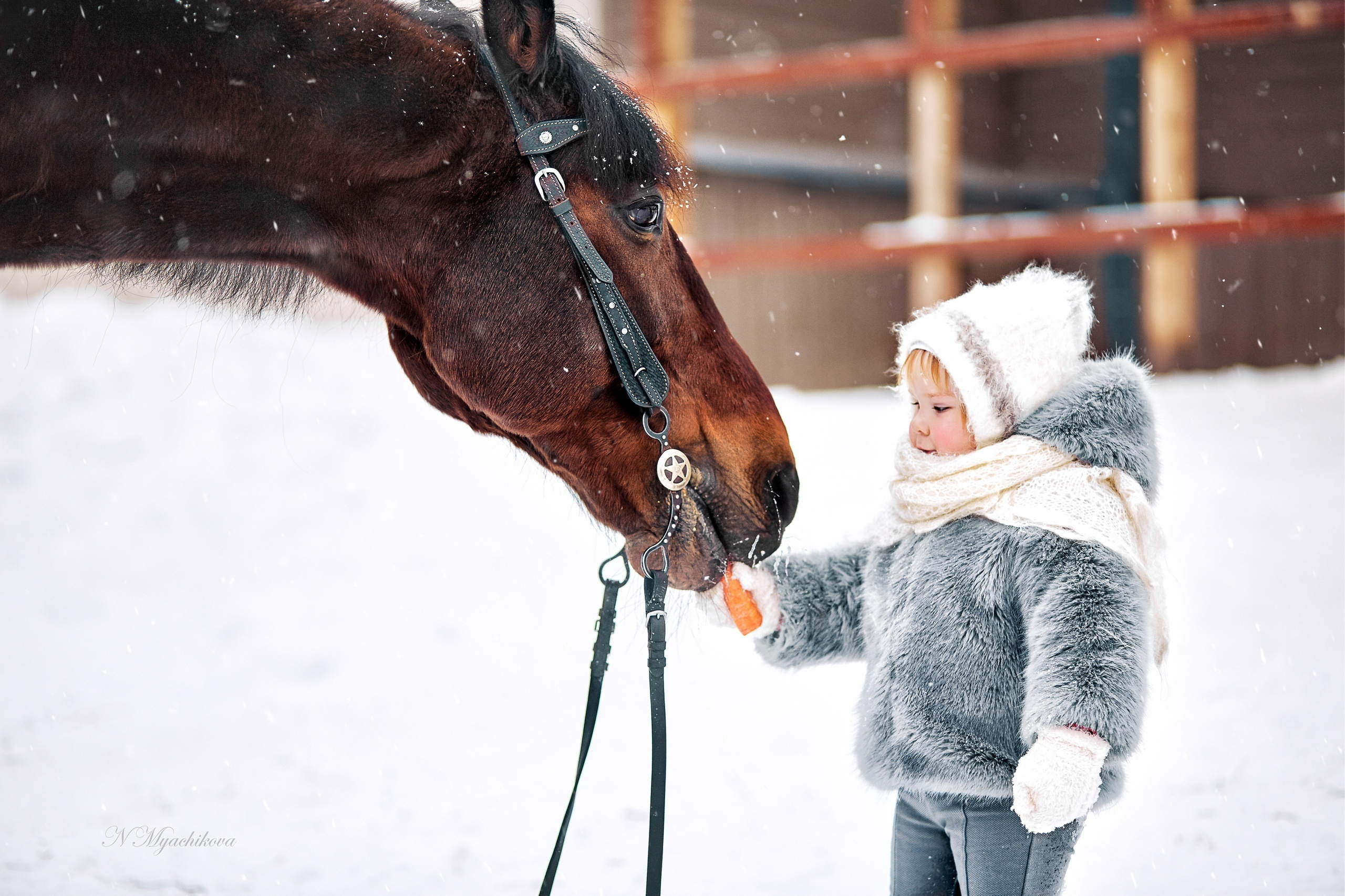 Фотосессия с конем в Нижегородской области, в Новинках. Детский и семейный фотограф в Нижнем Новгороде Мячикова Наталья