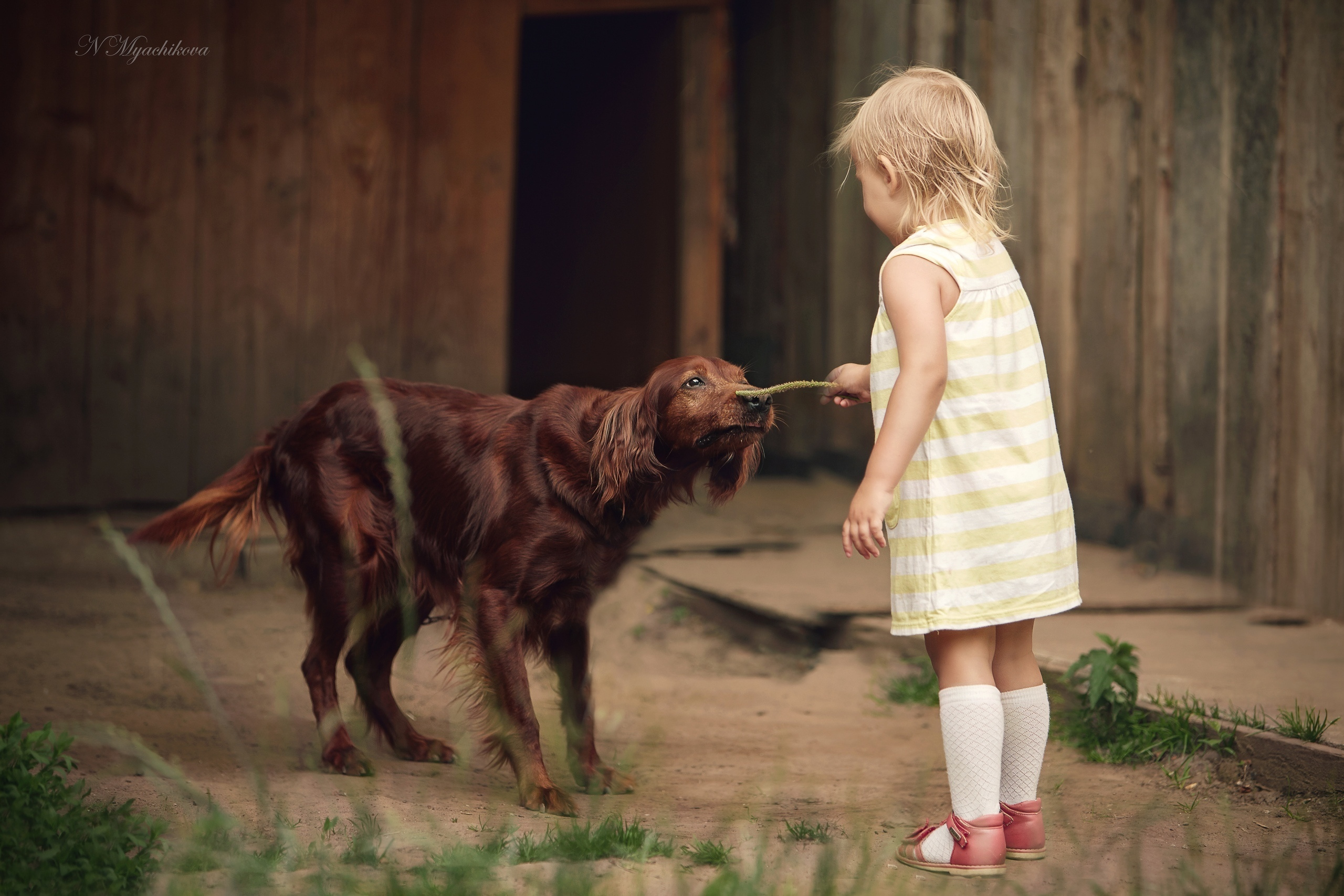 Съемка ребенка на Щелковском хуторе в Нижнем Новгороде. Детский и семейный фотограф в Нижнем Новгороде Мячикова Наталья